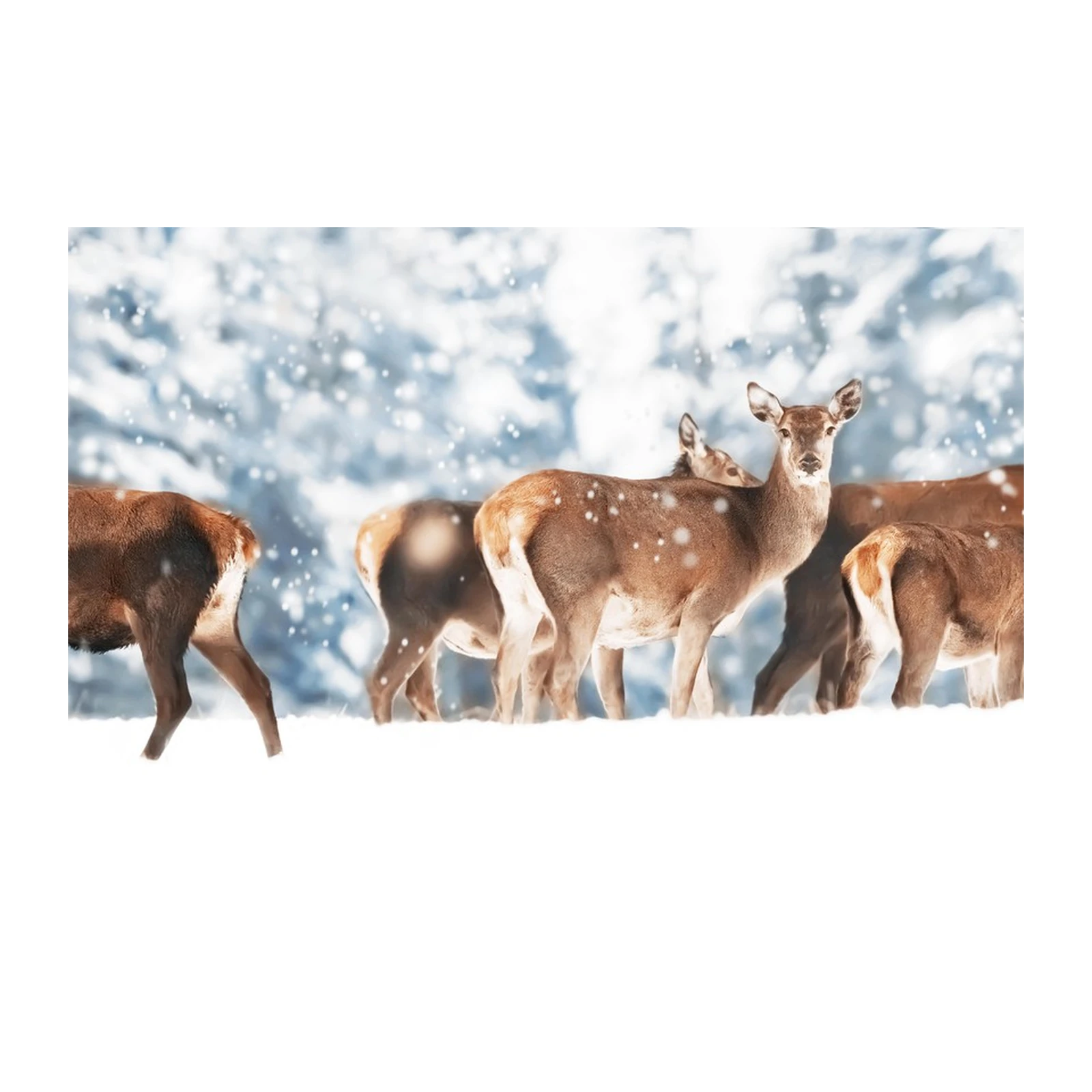 Majestic Deer in Snow Wall Art