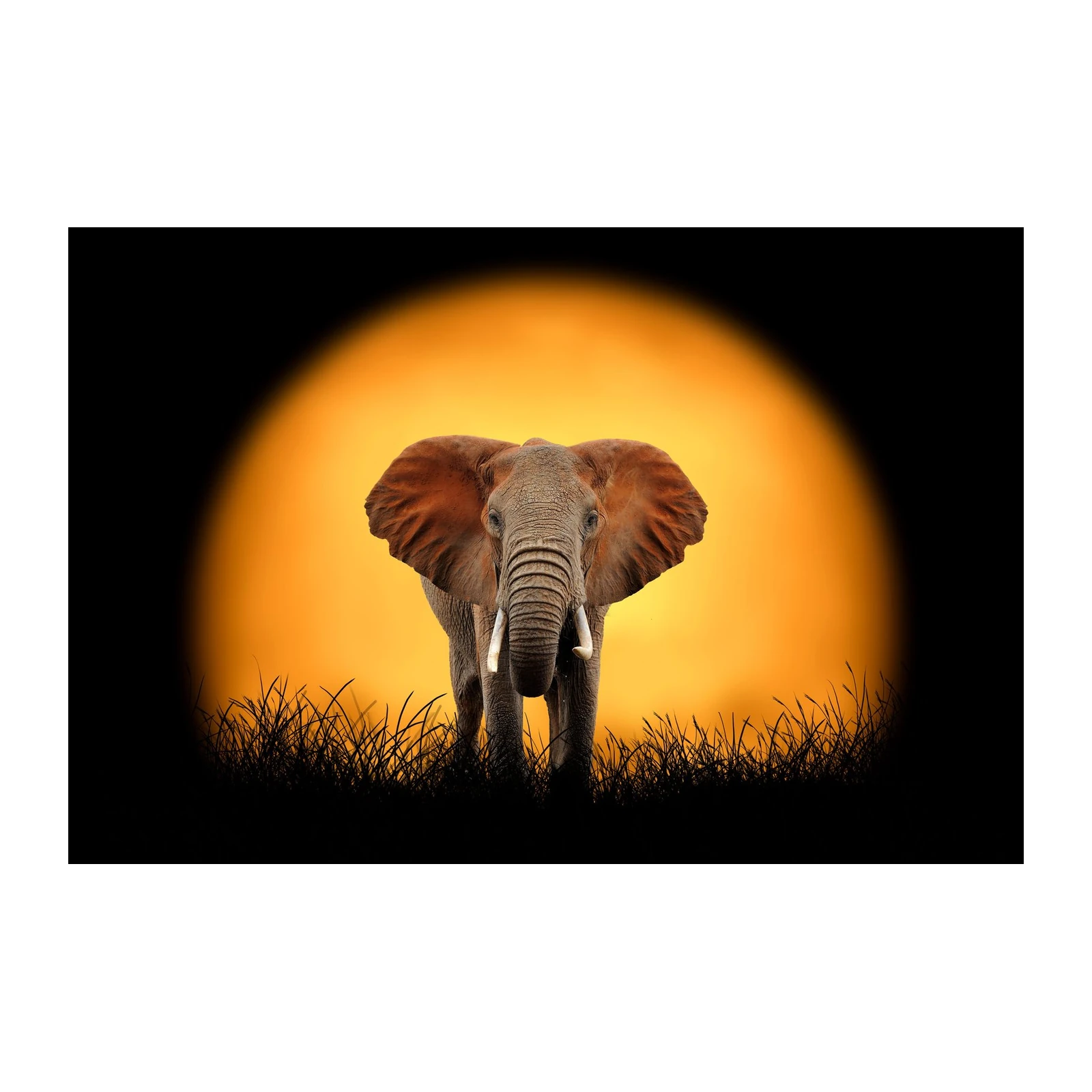 Majestic Elephant Sunset Safari Wall Art