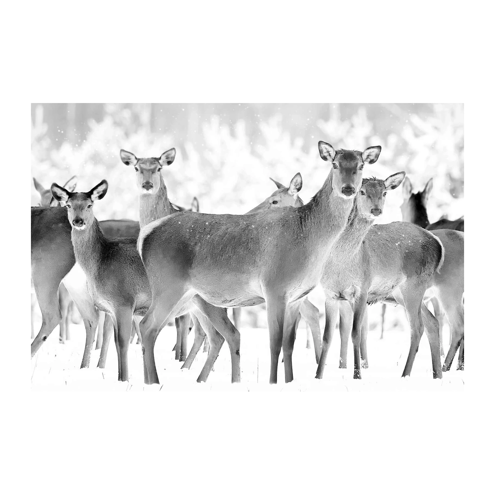 Serene Deer Winter Scene Wall Art