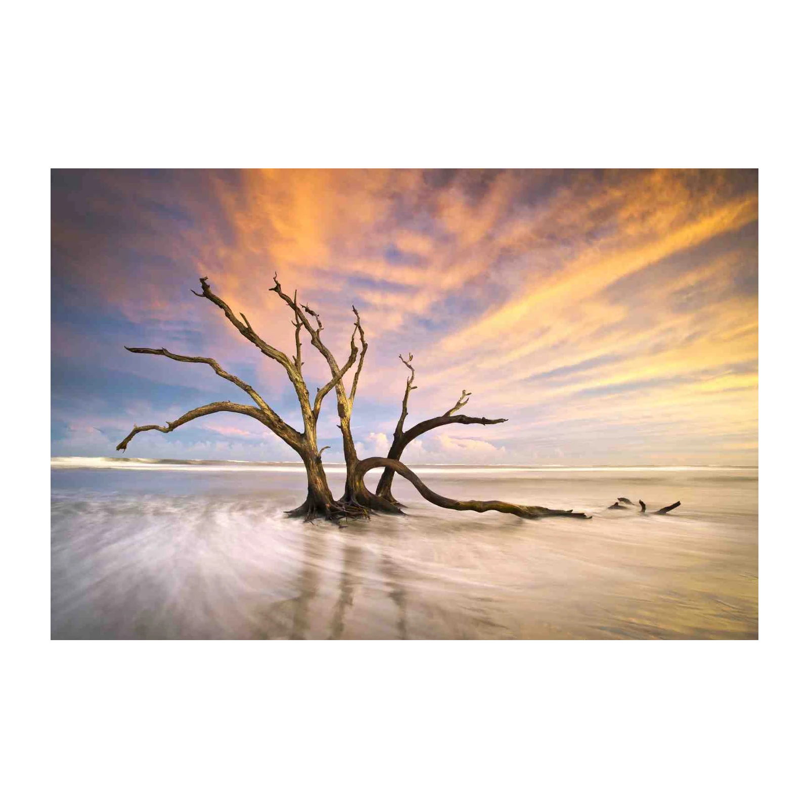 Serene Driftwood Tree Wall Art