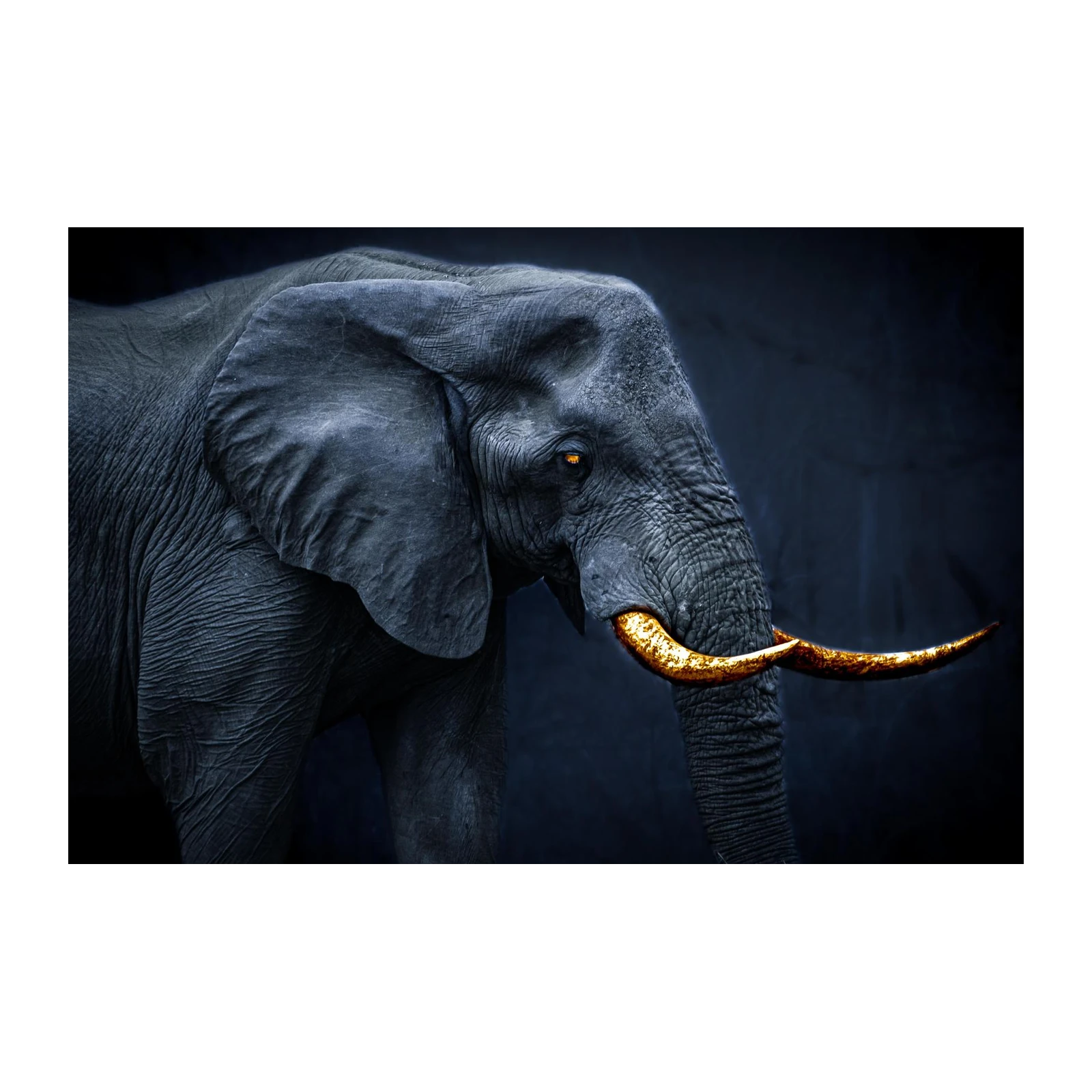 Majestic Gold Tusk Elephant Wall Art