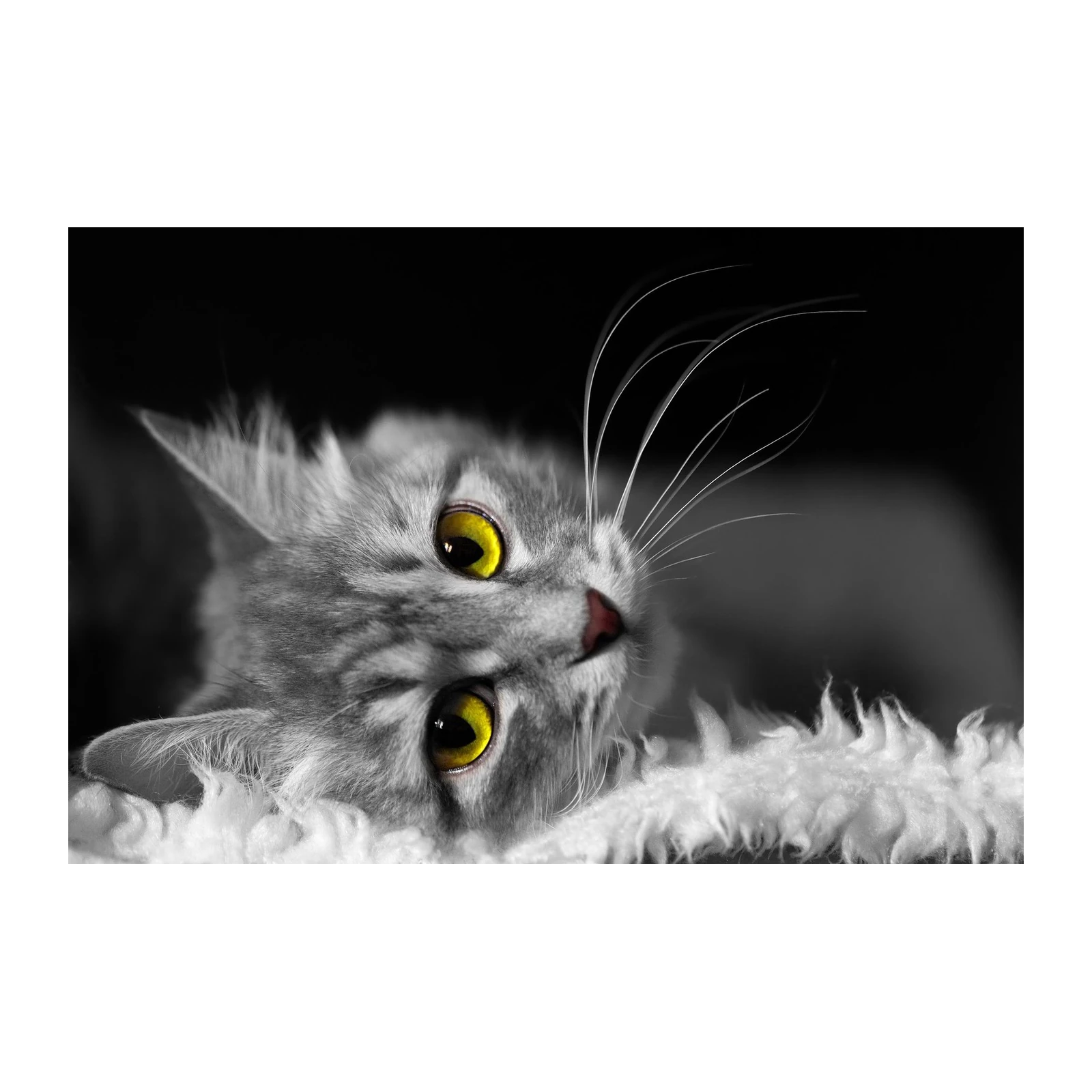 Captivating Yellow-Eyed Cat Wall Art