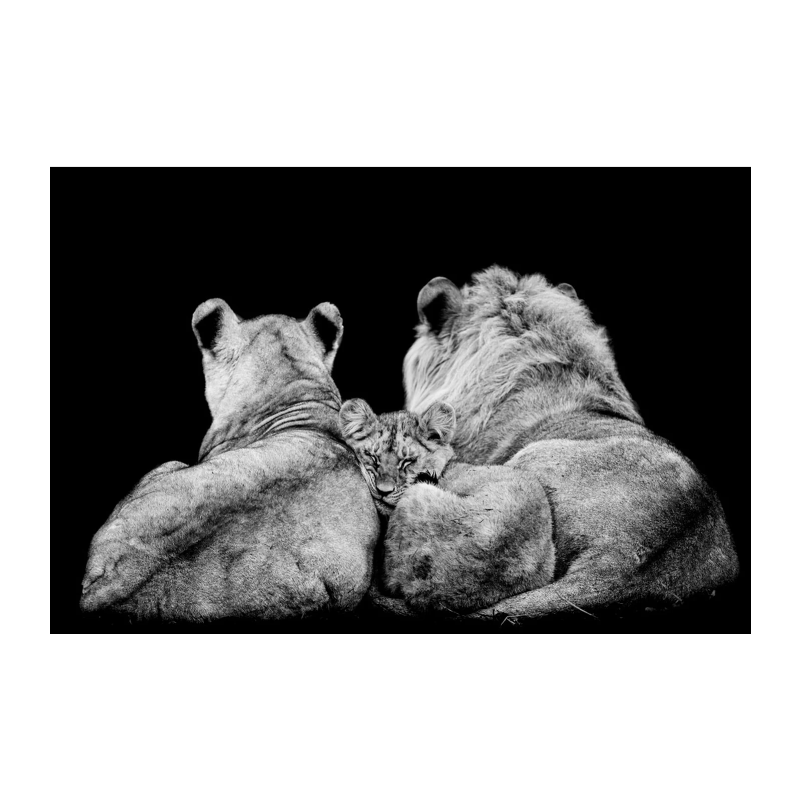 Majestic Lion Family Black & White Wall Art