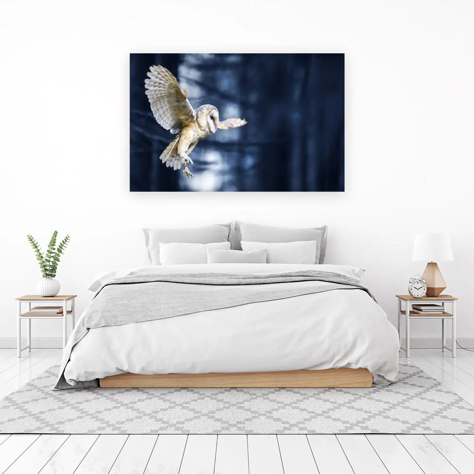 Majestic Barn Owl Flight Wall Art