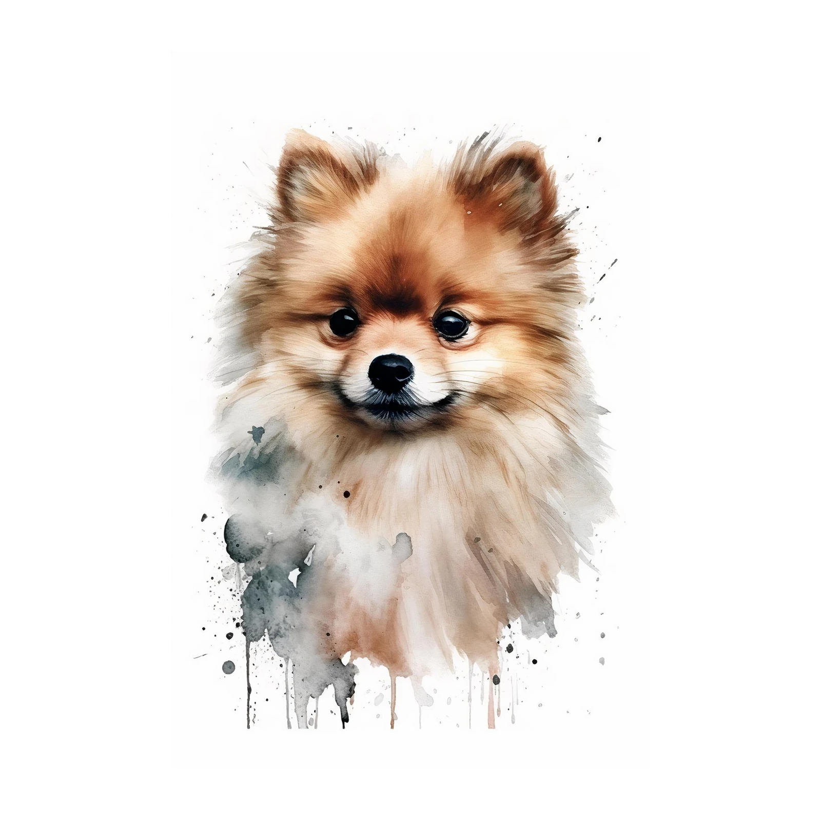Adorable Pomeranian Watercolor Wall Art