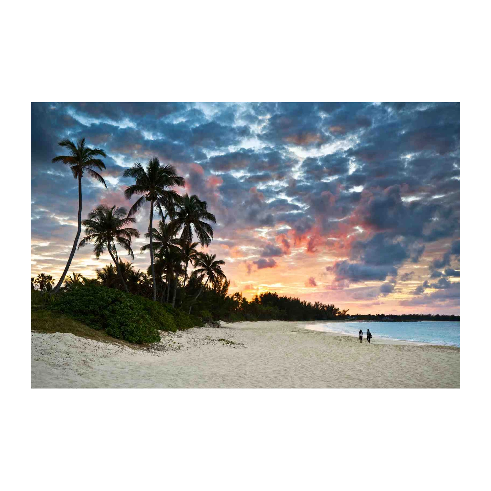 Tropical Sunset Beach Palm Trees Wall Art