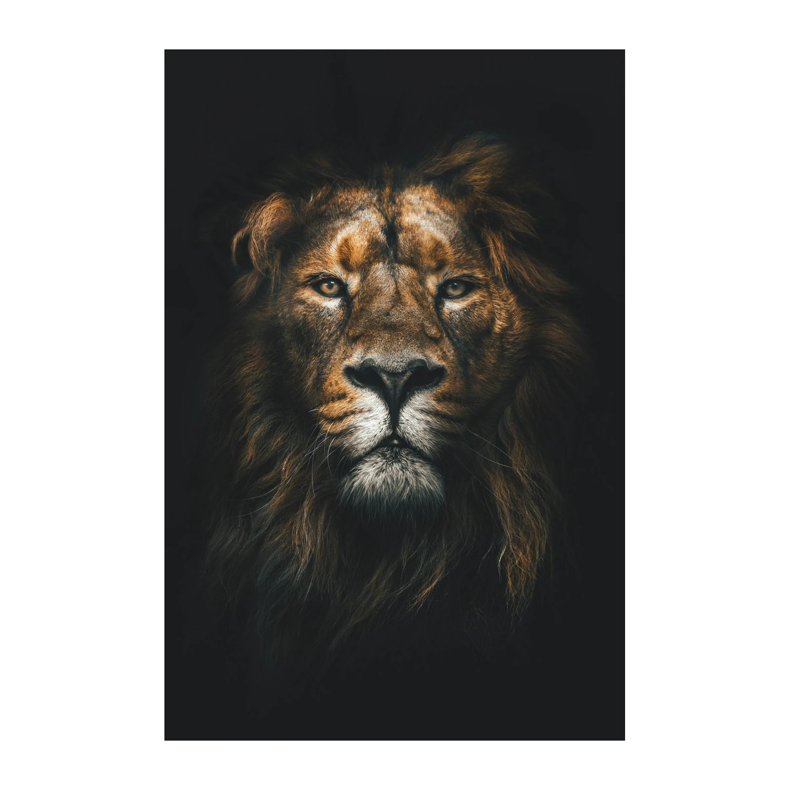 Majestic Lion Portrait Wall Art - Bold Animal Art