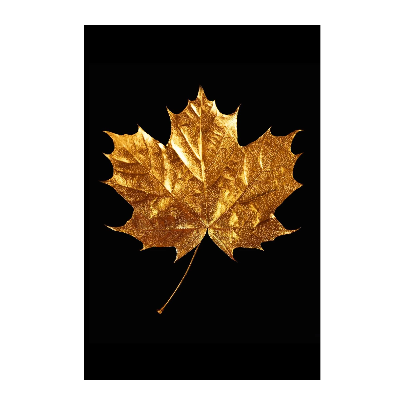 Luxurious Gold Maple Leaf Wall Art