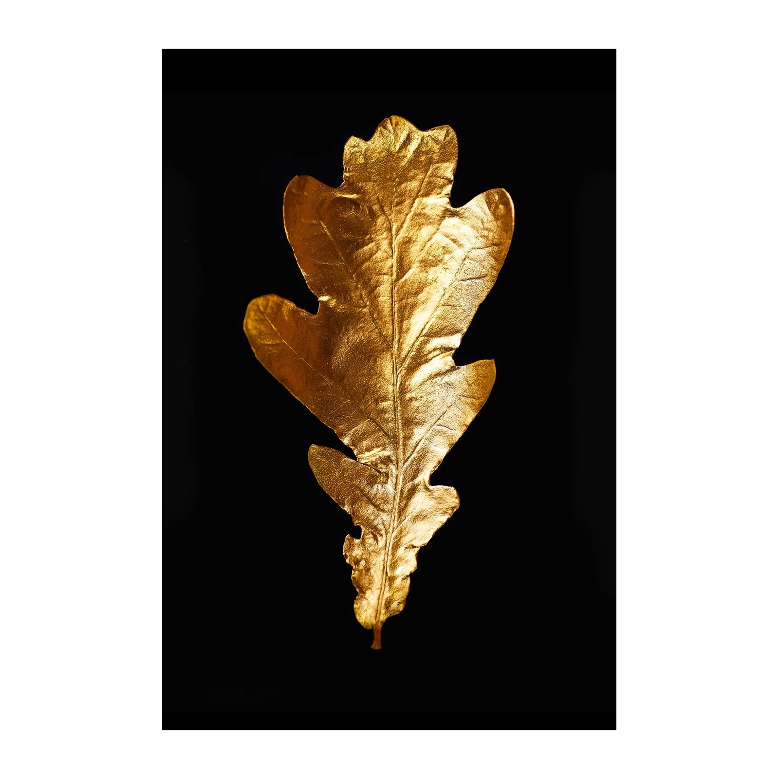 Golden Oak Leaf Wall Art Wall Art