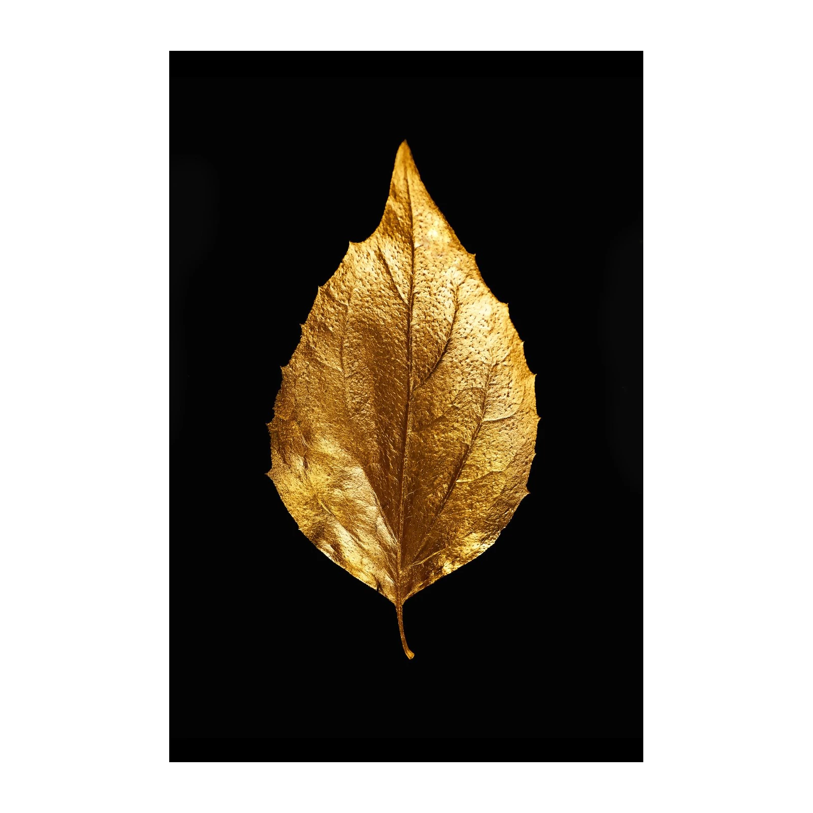 Elegant Golden Leaf Wall Art Wall Art