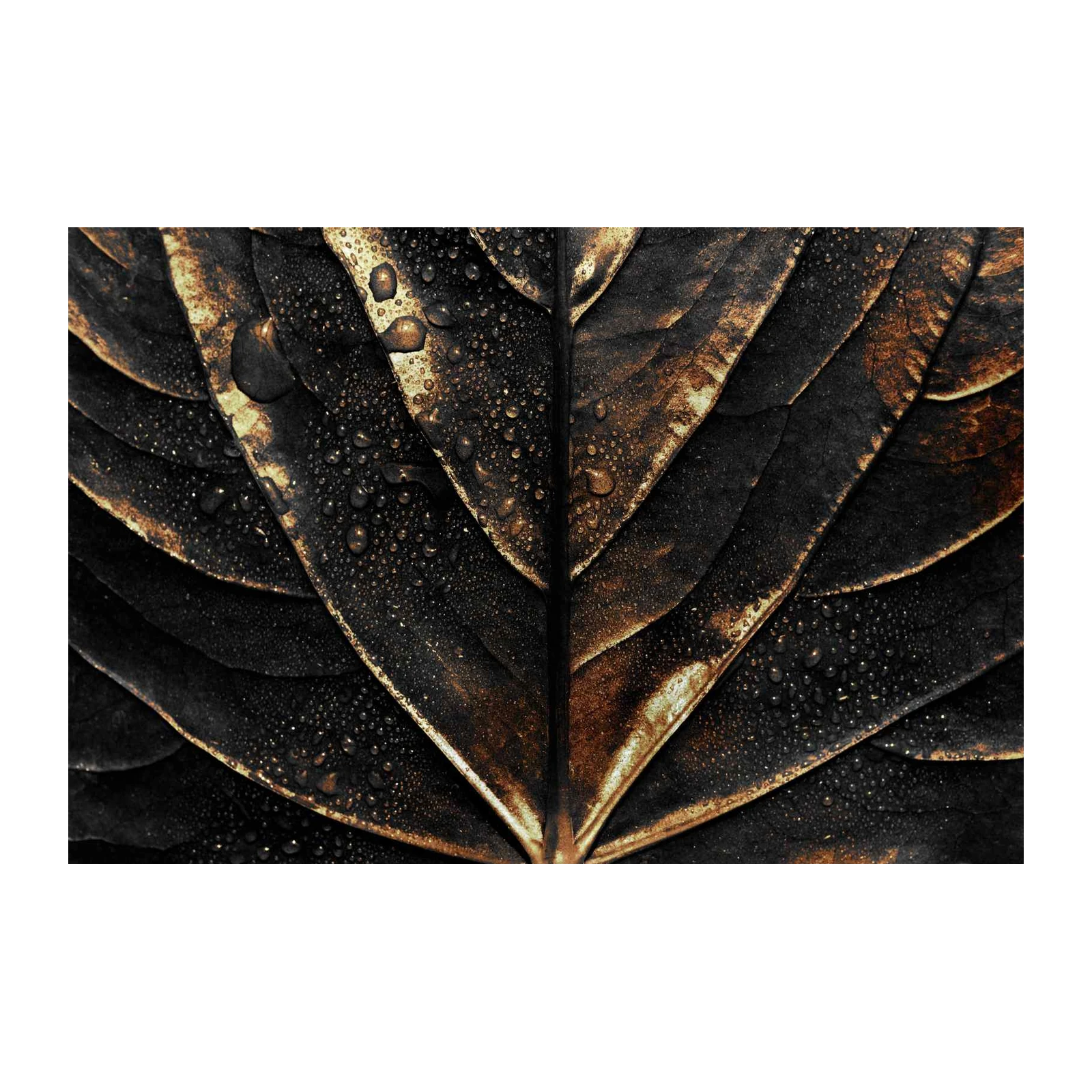 Dark Botanical Raindrops Wall Art