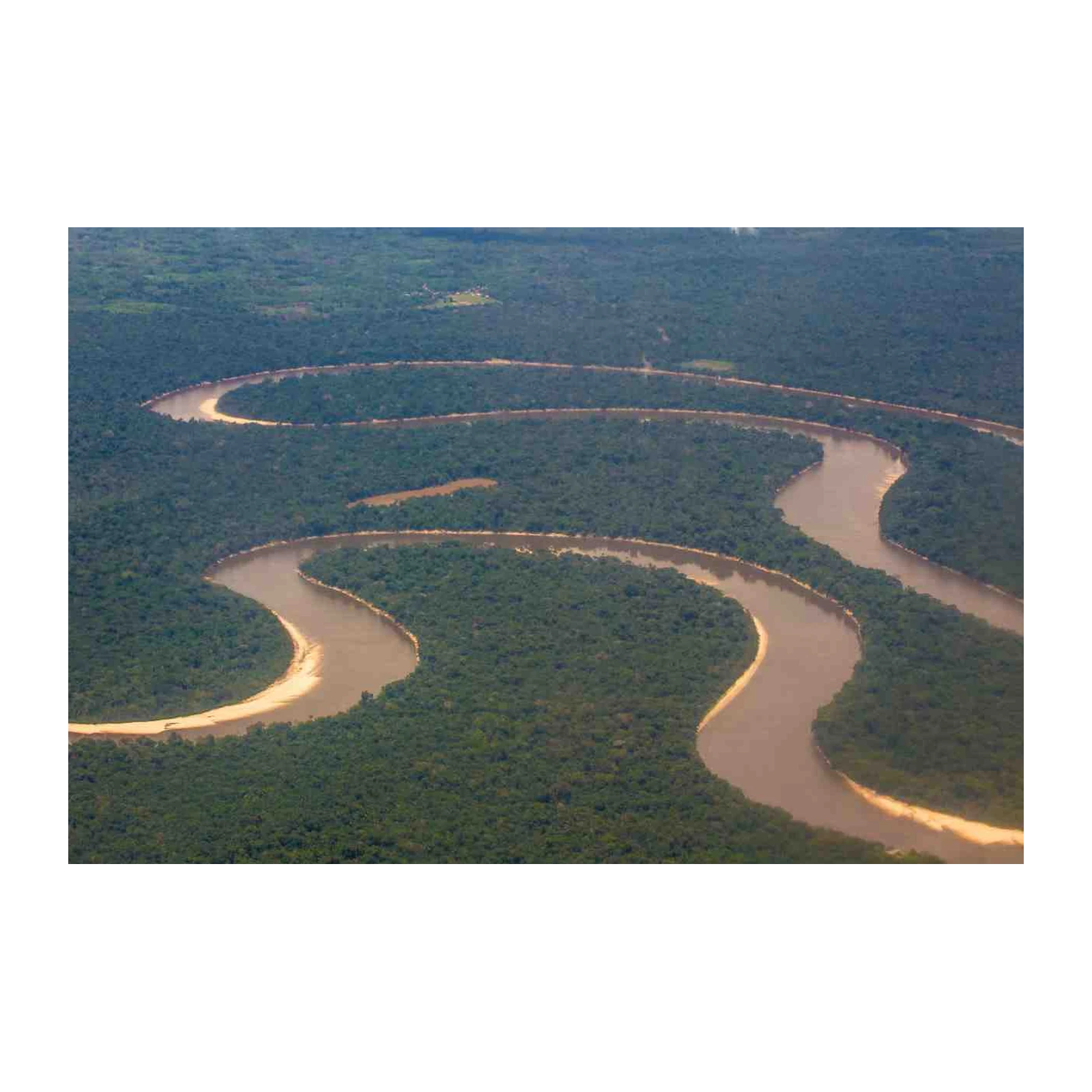 Serene Amazon River Bend Wall Art