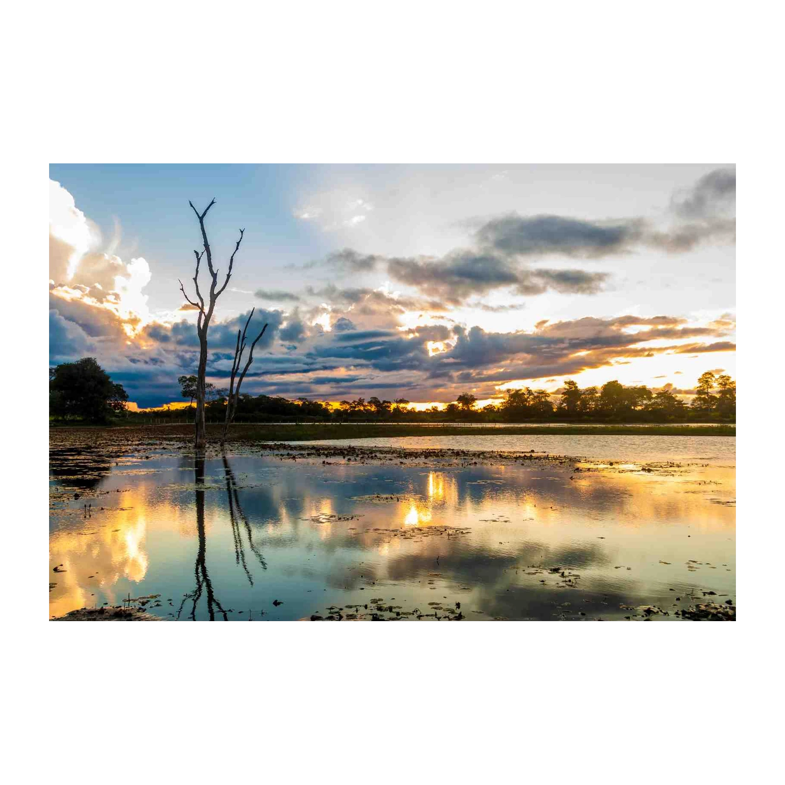 Serene Sunset Lake with Dead Tree Wall Art
