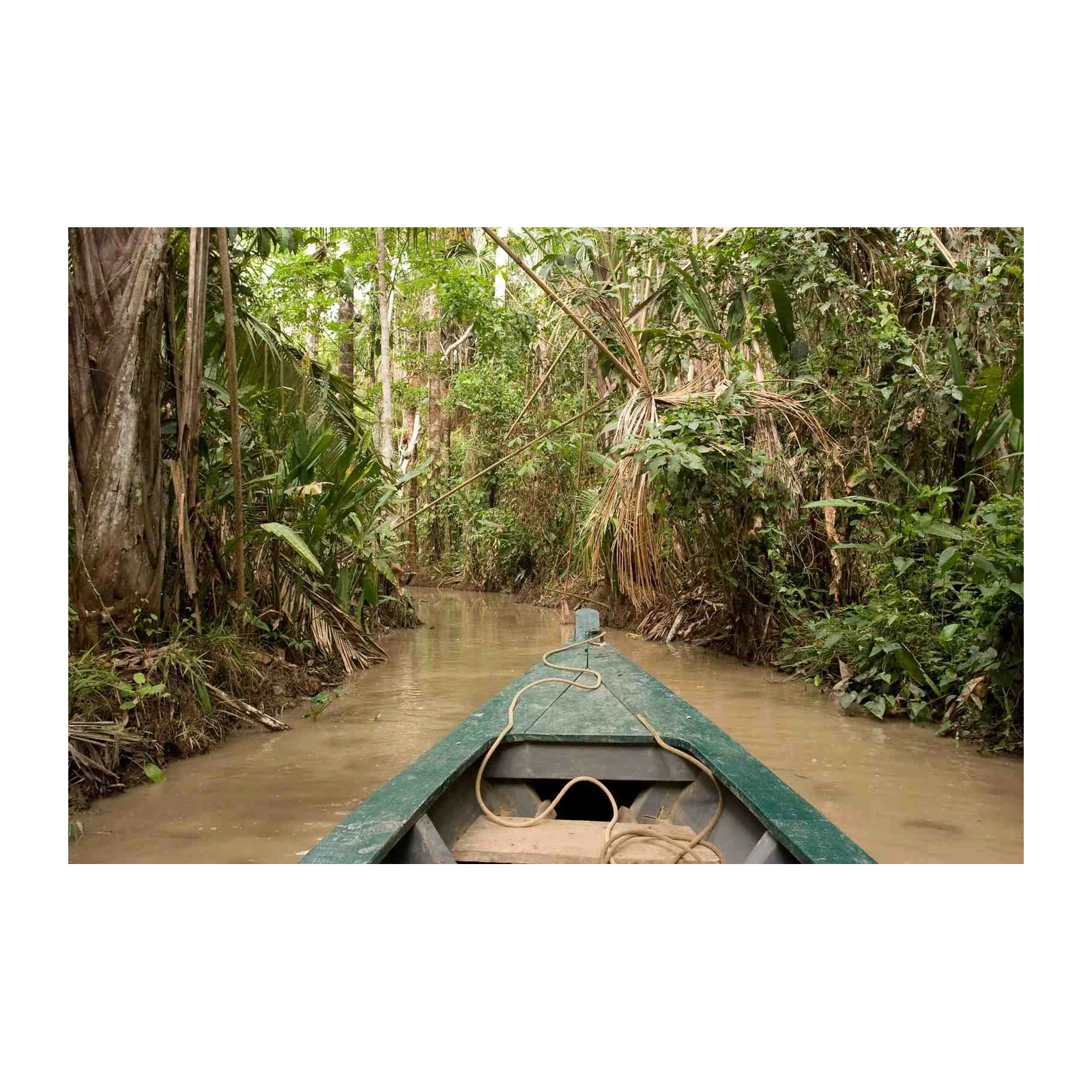 Amazon Rainforest River Journey Wall Art