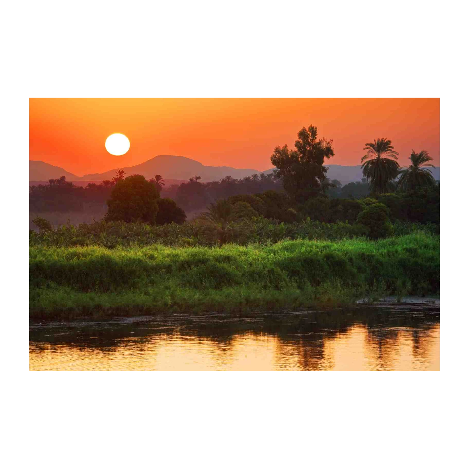 Serene Sunset River Oasis Wall Art