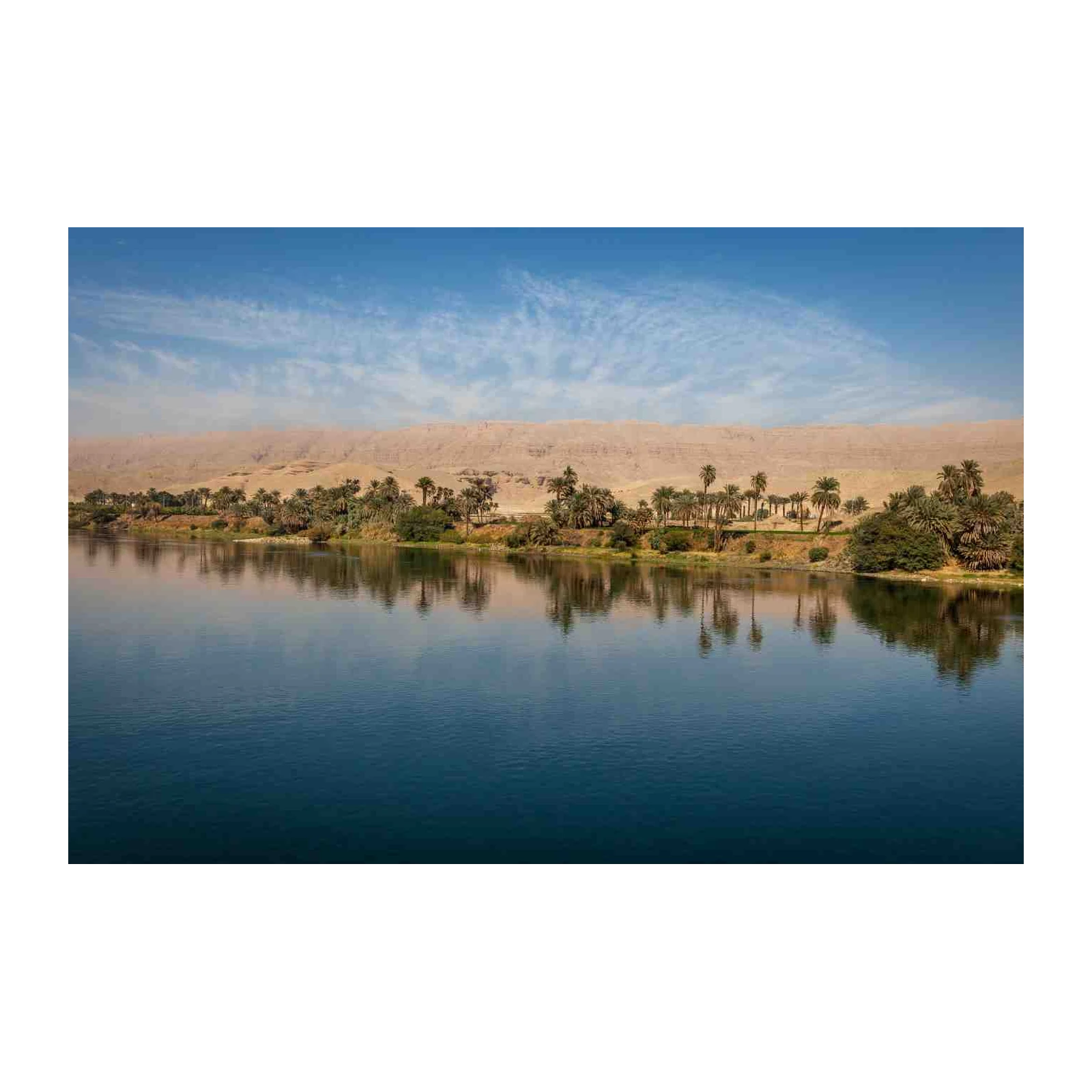 Serene Nile River Oasis Palm Trees Wall Art
