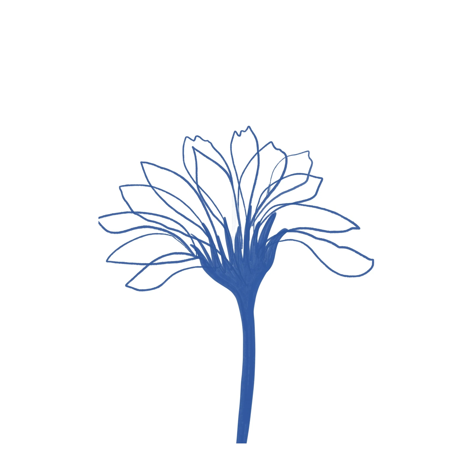 Minimalist Blue Floral Outline Wall Art