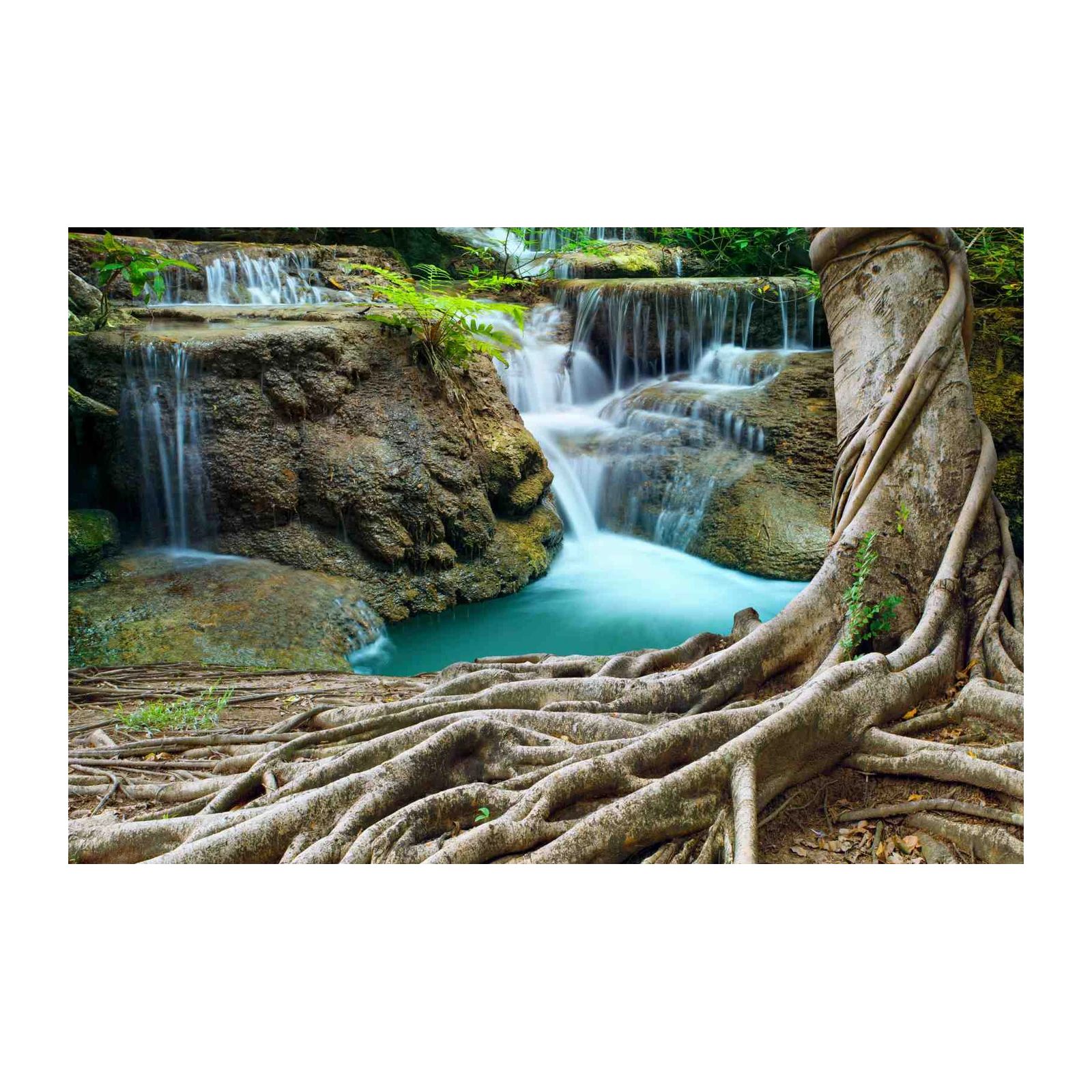 Serene Forest Waterfall & Tree Roots Wall Art