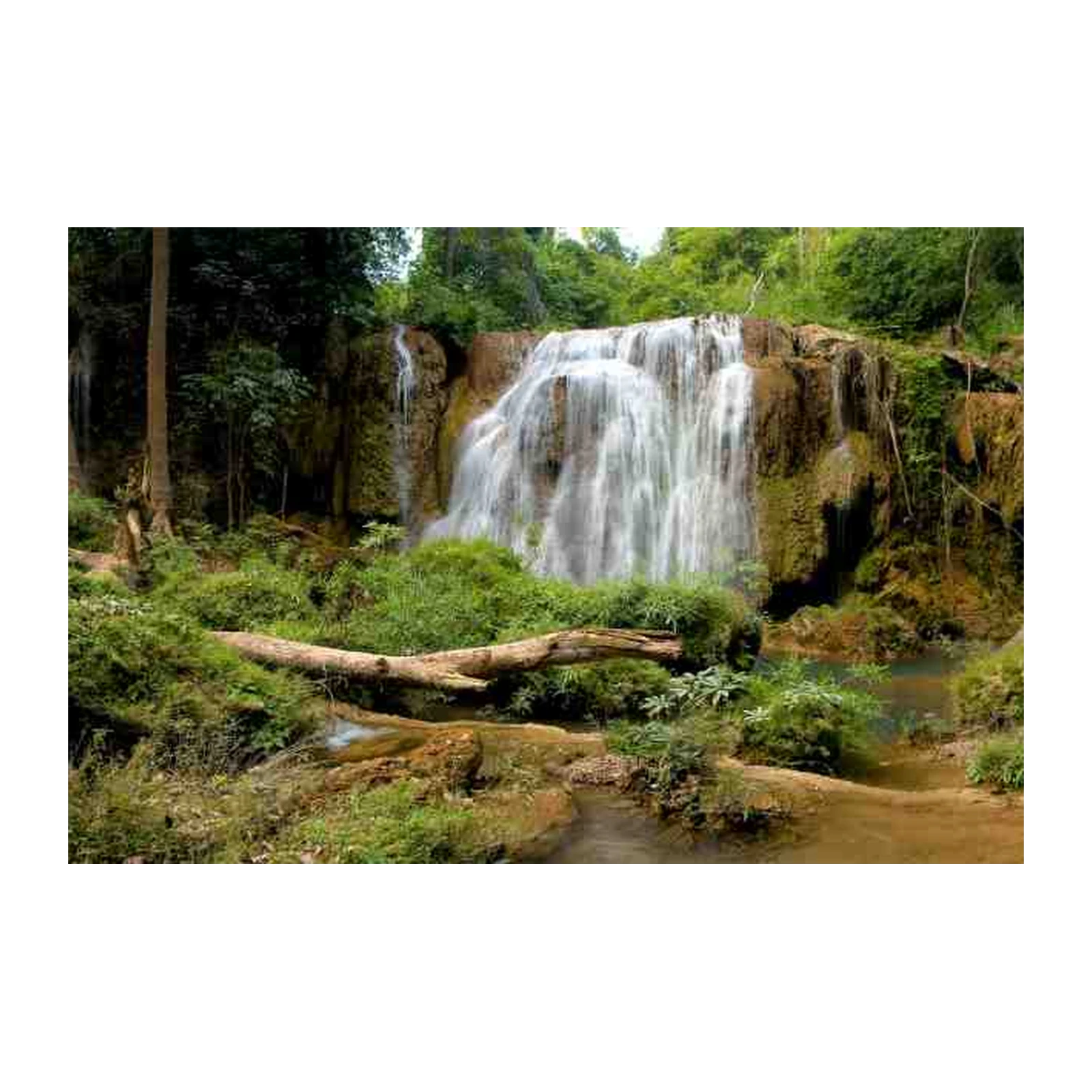 Lush Jungle Waterfall Serenity Wall Art