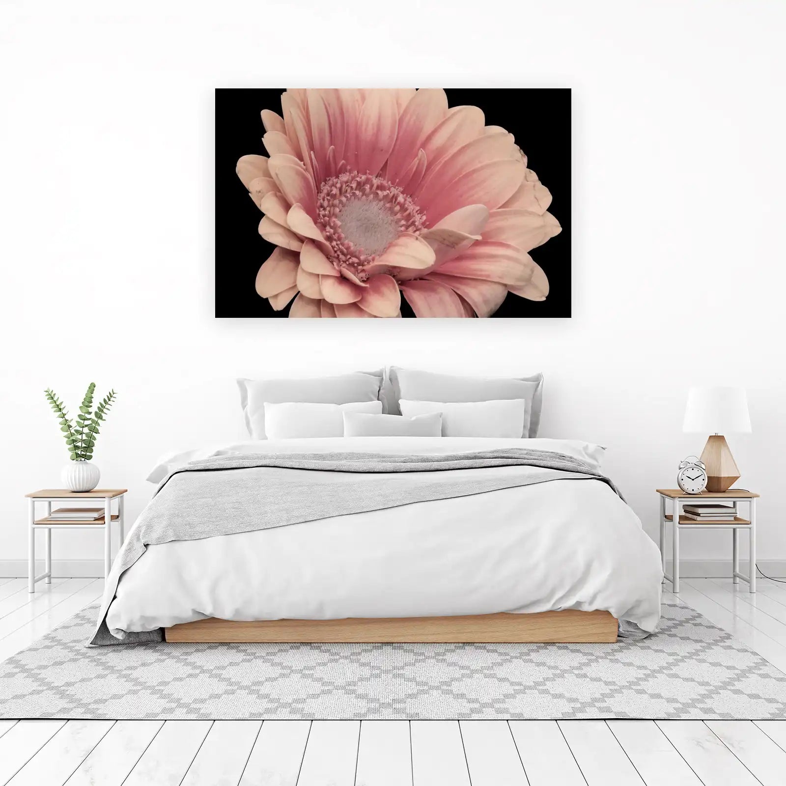 Soft Pink Gerbera Daisy Close-Up Wall Art