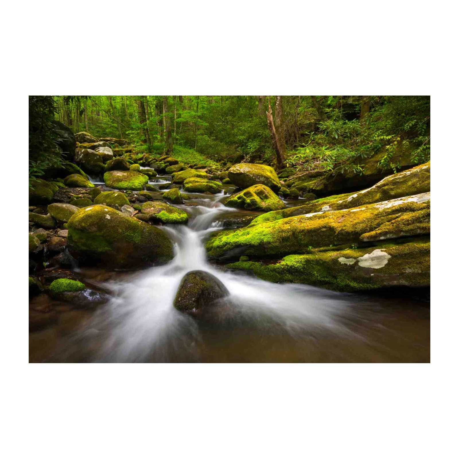 Tranquil Forest Stream Mossy Rocks Wall Art