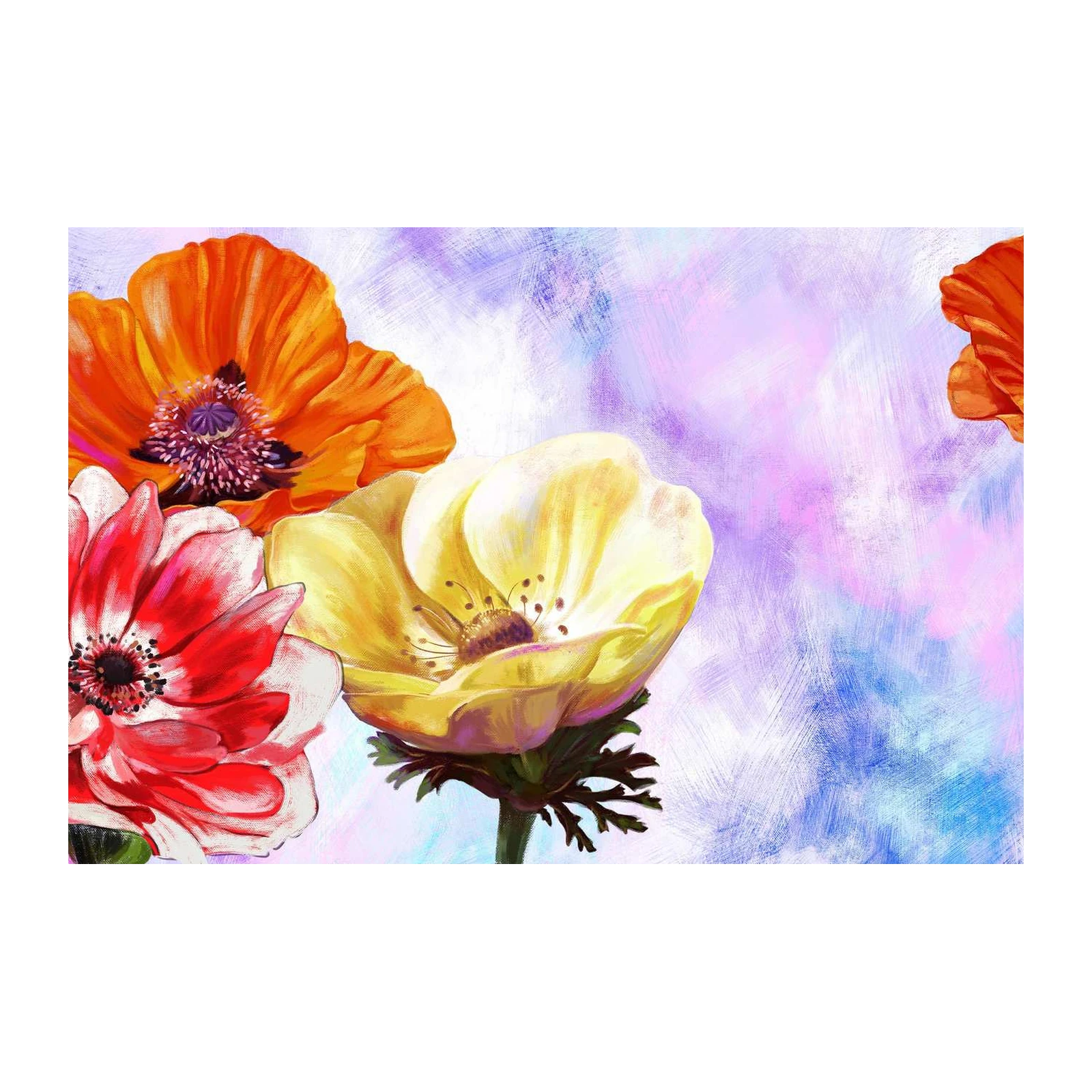 Vibrant Floral Anemone Wall Art