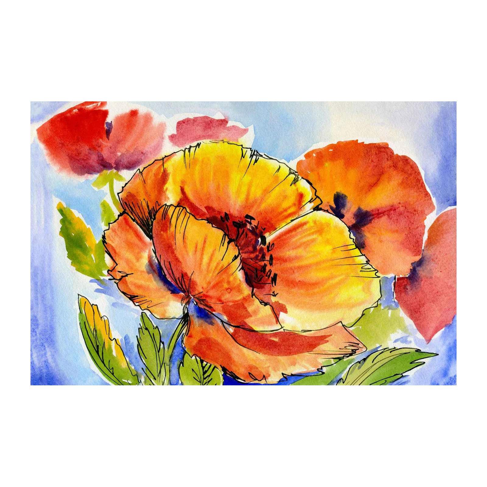 Vibrant Floral Watercolor Poppy Wall Art
