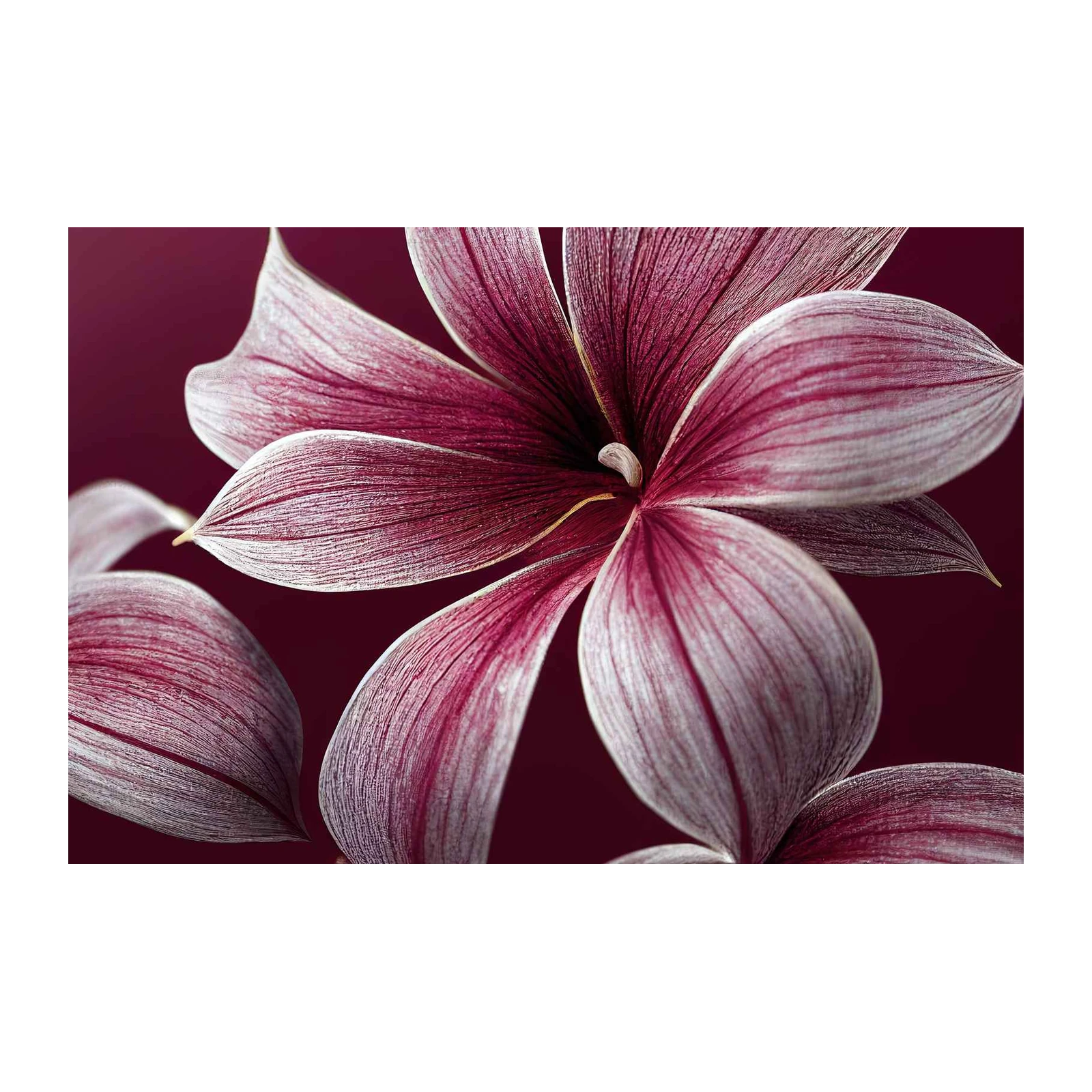 Magnolia Bloom Close-Up Wall Art