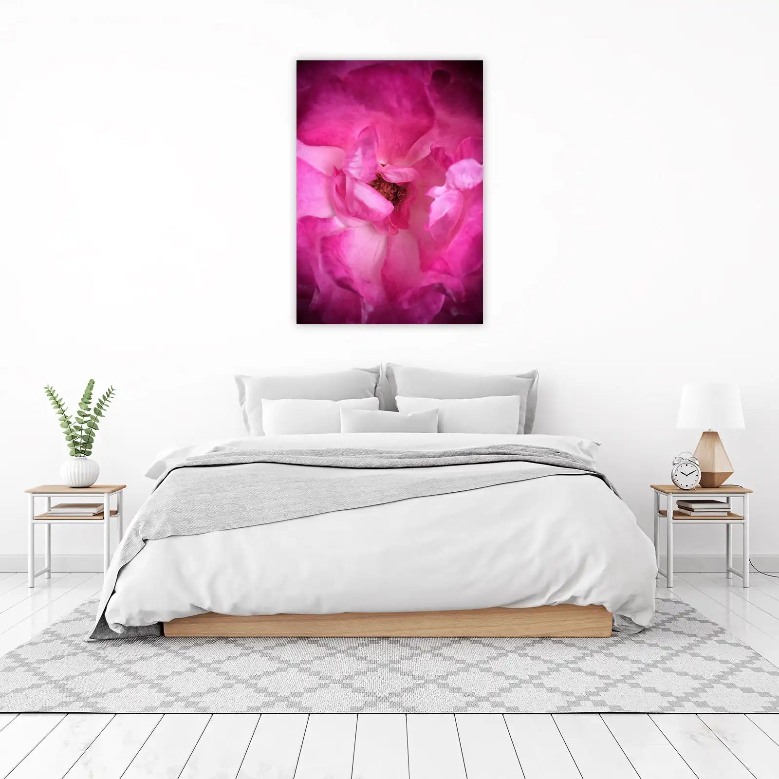 Vibrant Pink Rose Macro Wall Art