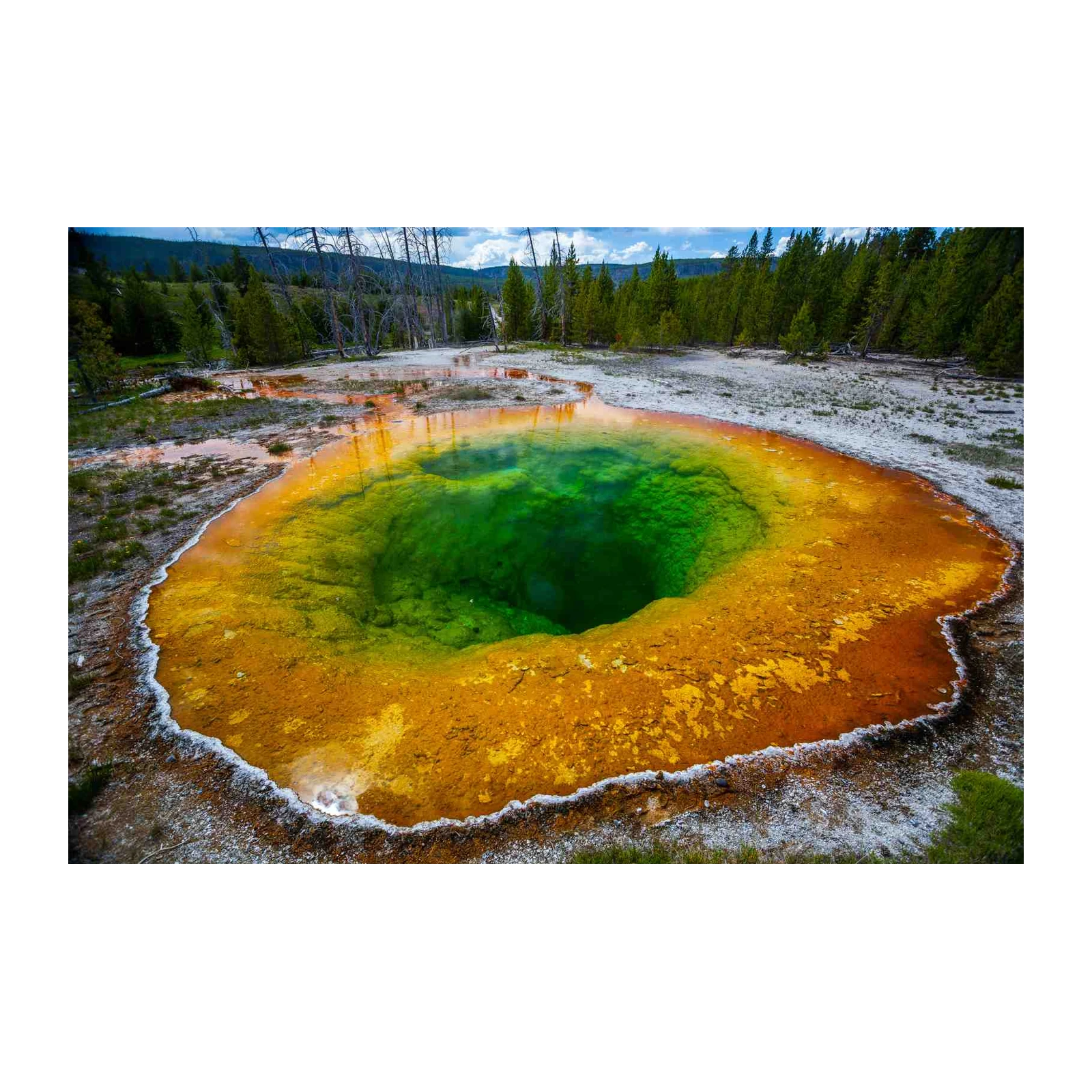 Vibrant Morning Glory Pool Yellowstone Wall Art