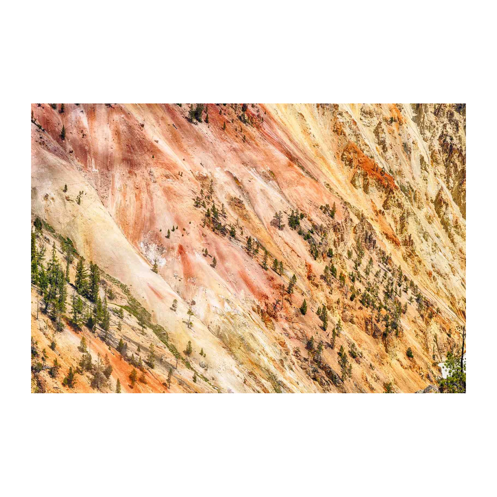 Vibrant Canyon Landscape Wall Art