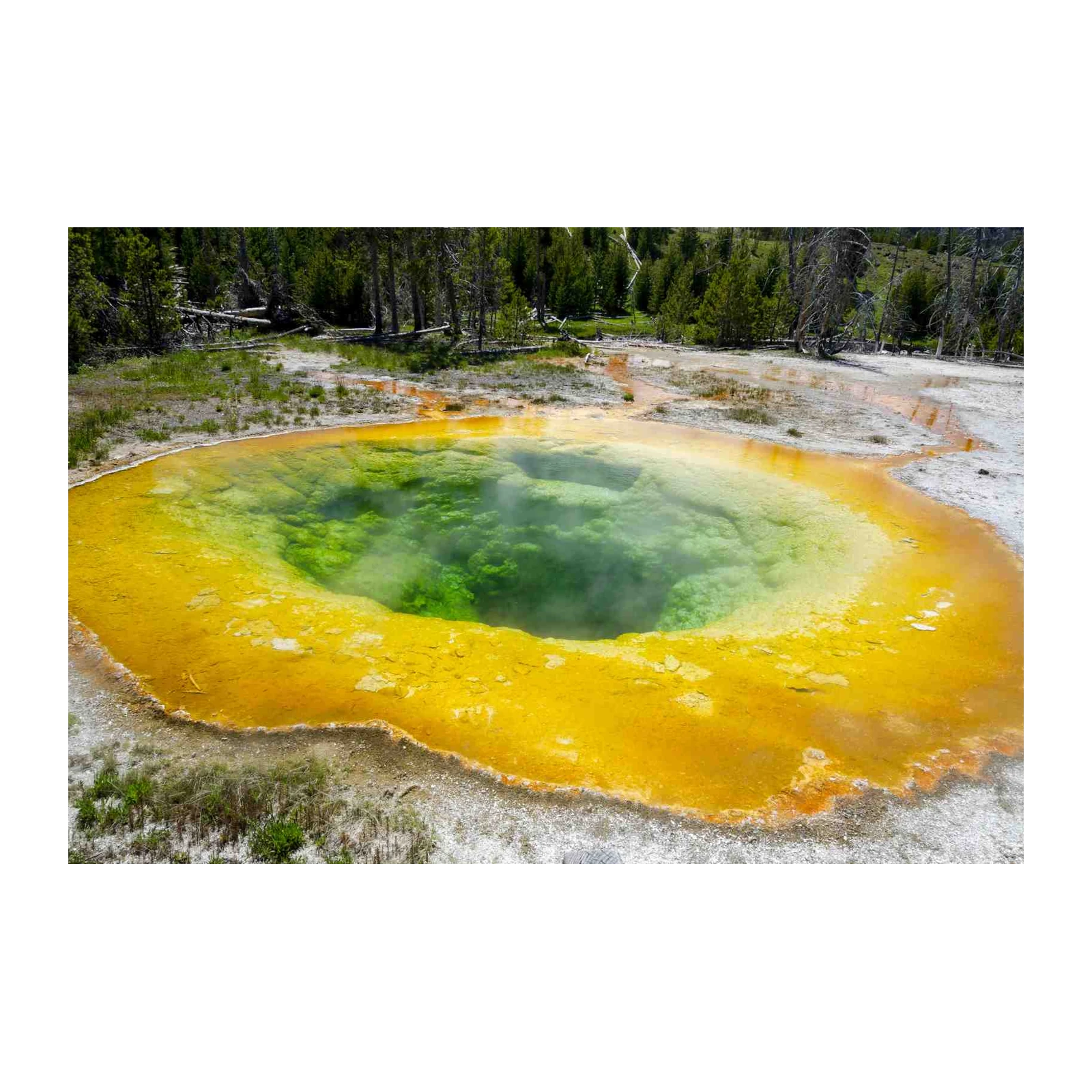 Vibrant Hot Spring Yellowstone Wall Art