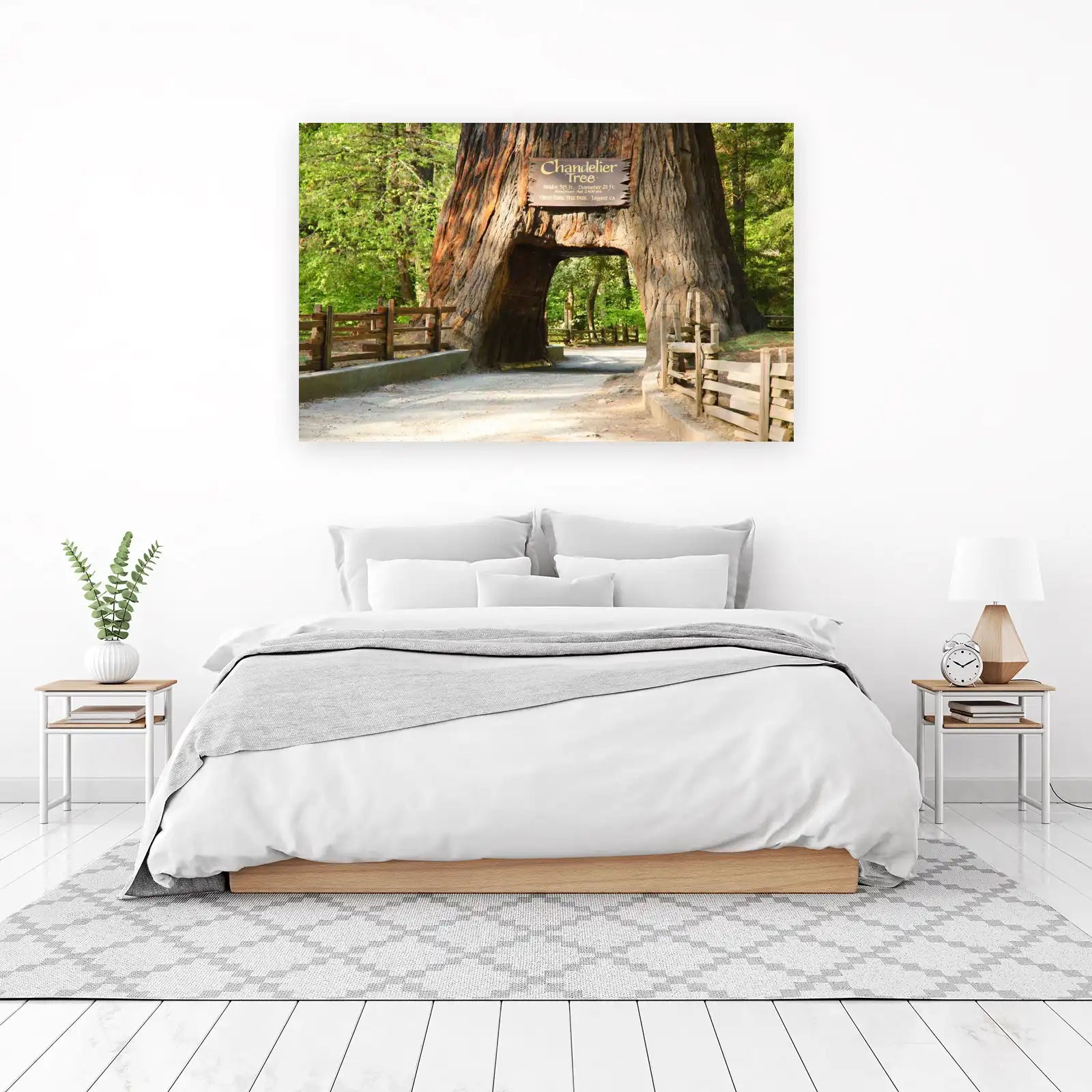 Chandelier Tree Redwood Grove Wall Art