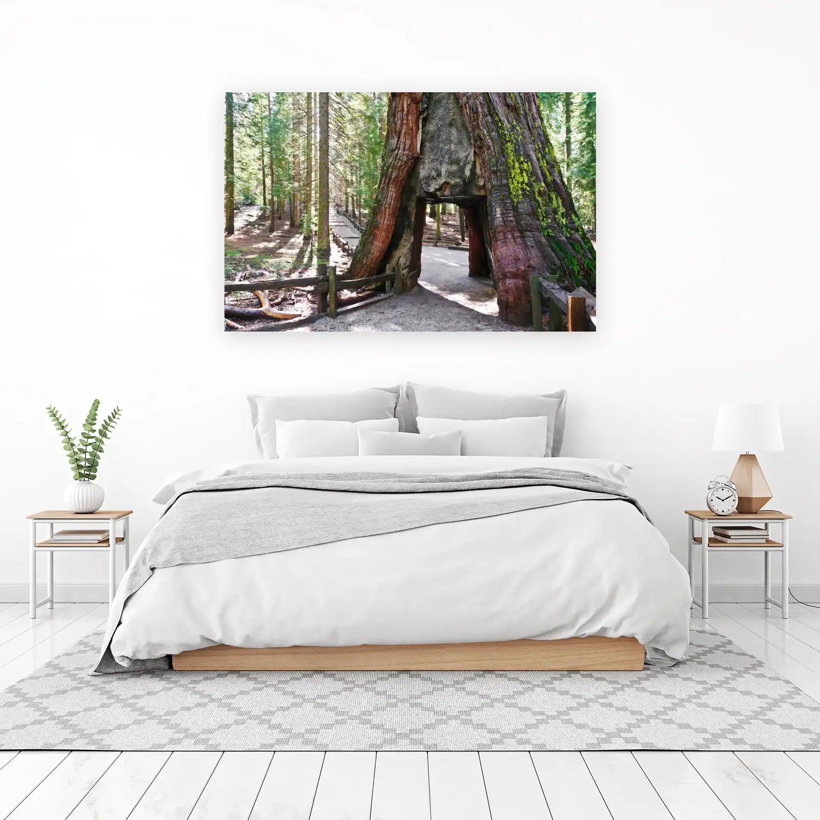 Giant Sequoia Tunnel Nature Wall Art Wall Art