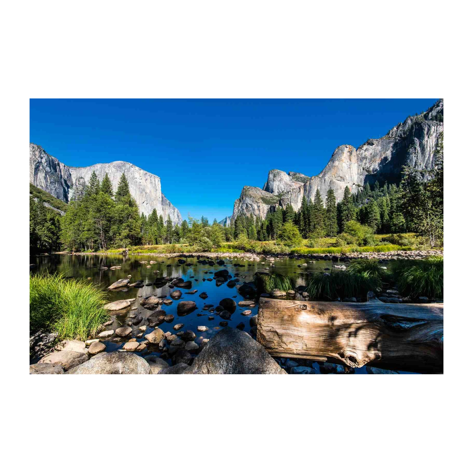 Yosemite Valley Serenity Landscape Wall Art