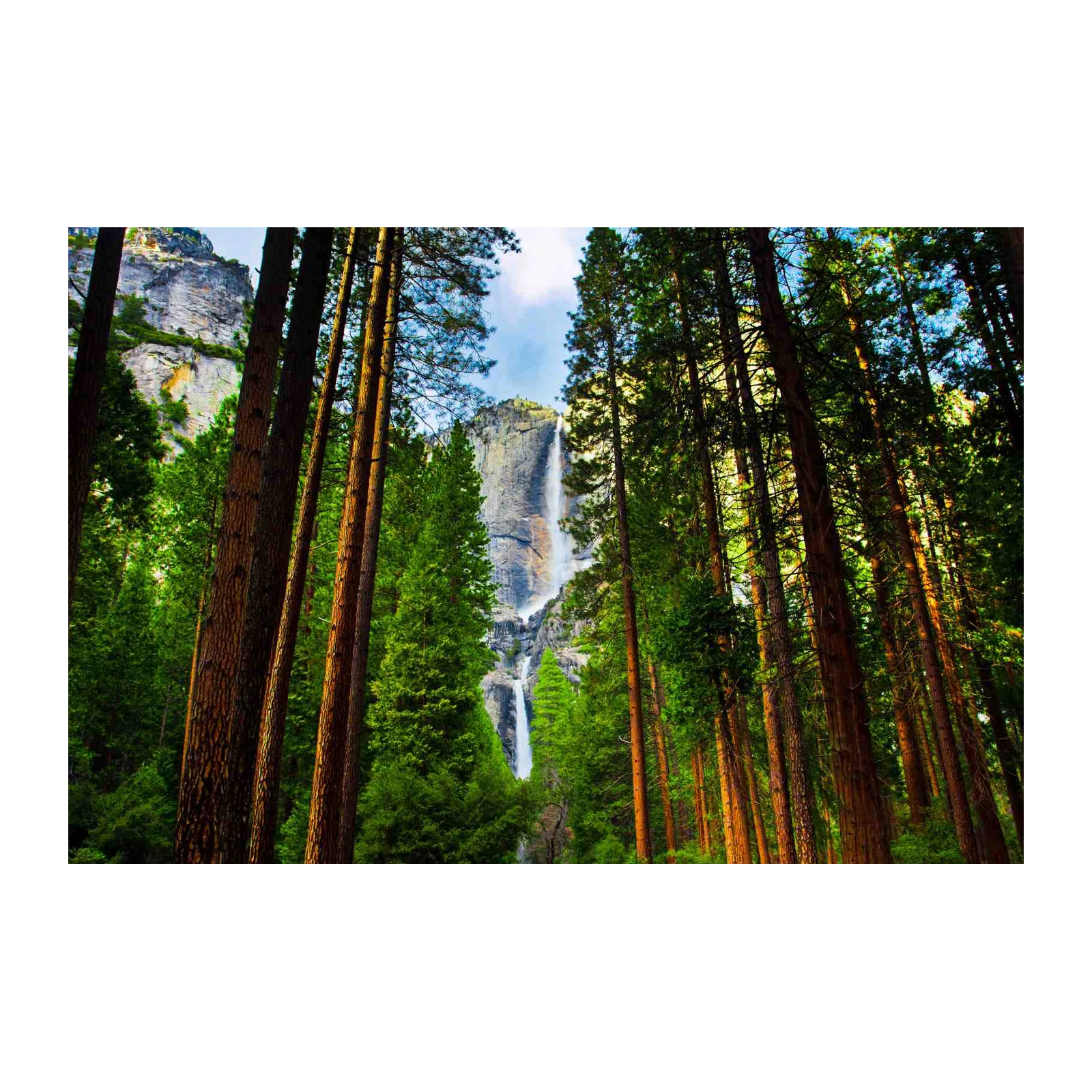 Majestic Yosemite Waterfall Forest Wall Art