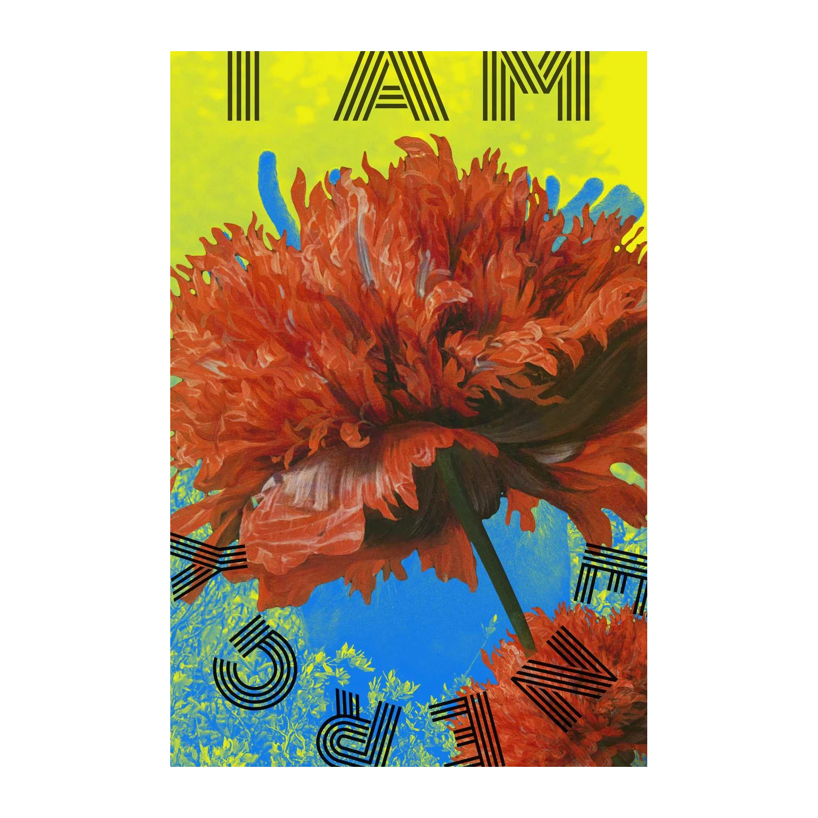 Vibrant Floral "I Am" Statement Wall Art