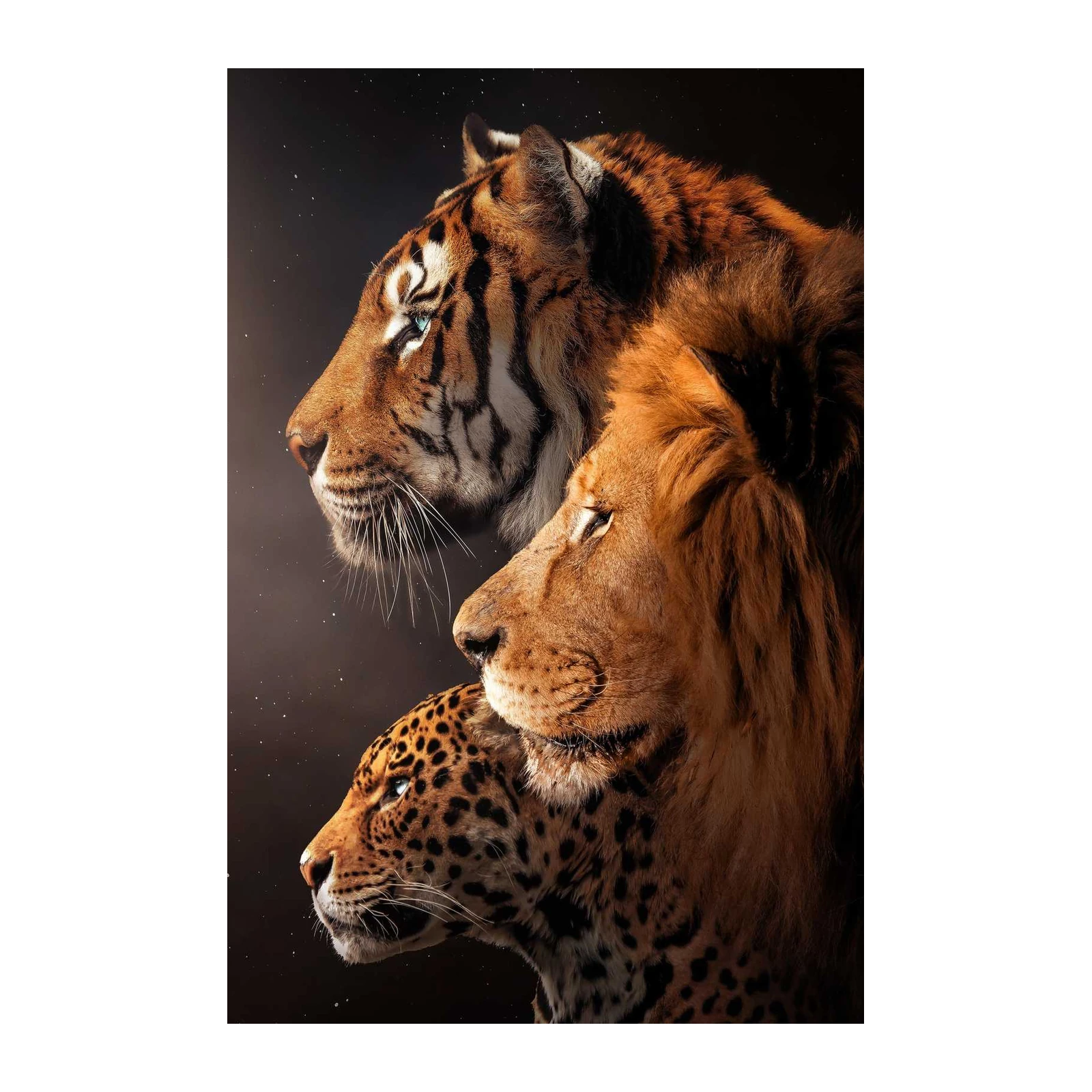 Majestic Big Cats Trio Wall Art