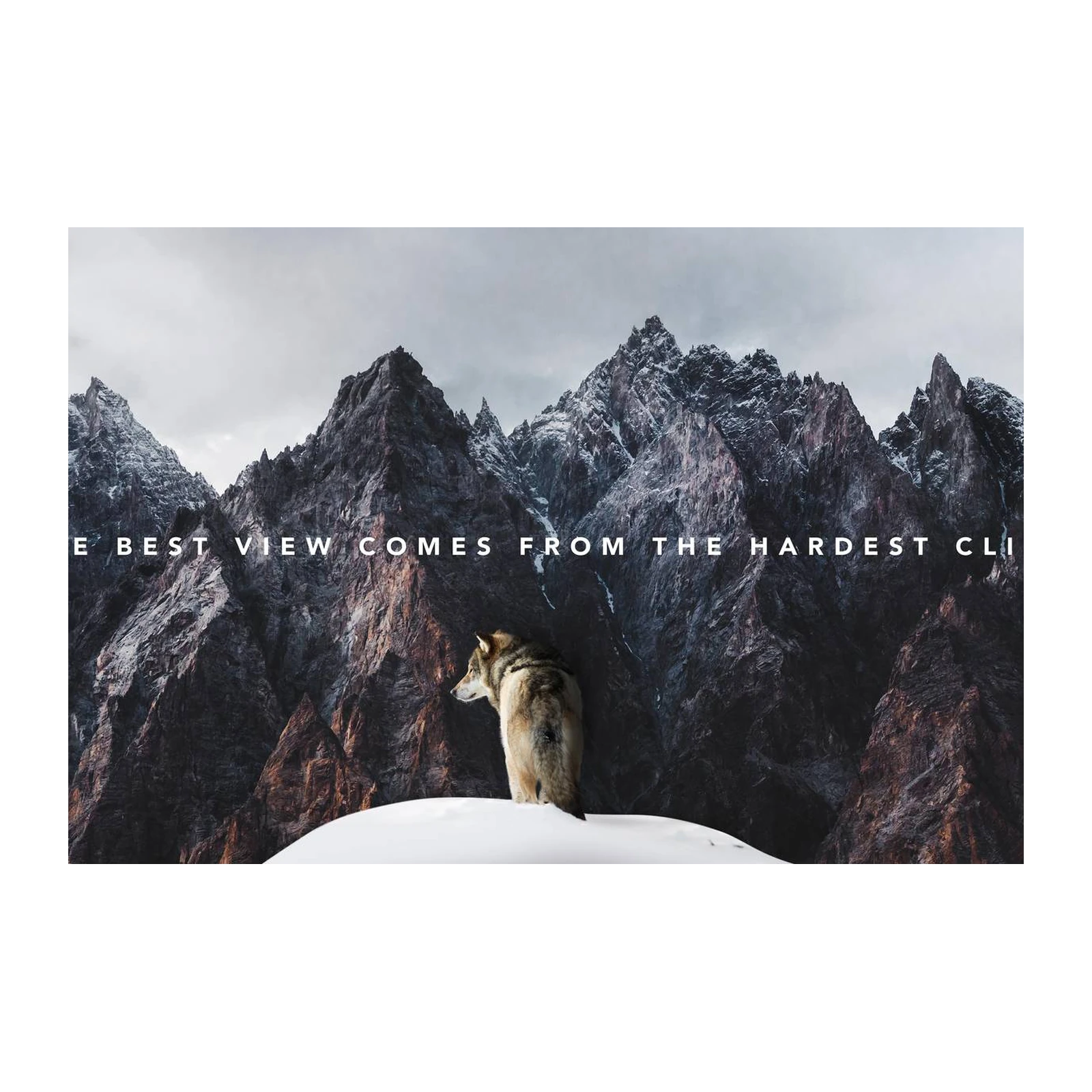 Wolf Mountain Motivational Landscape Wall Art