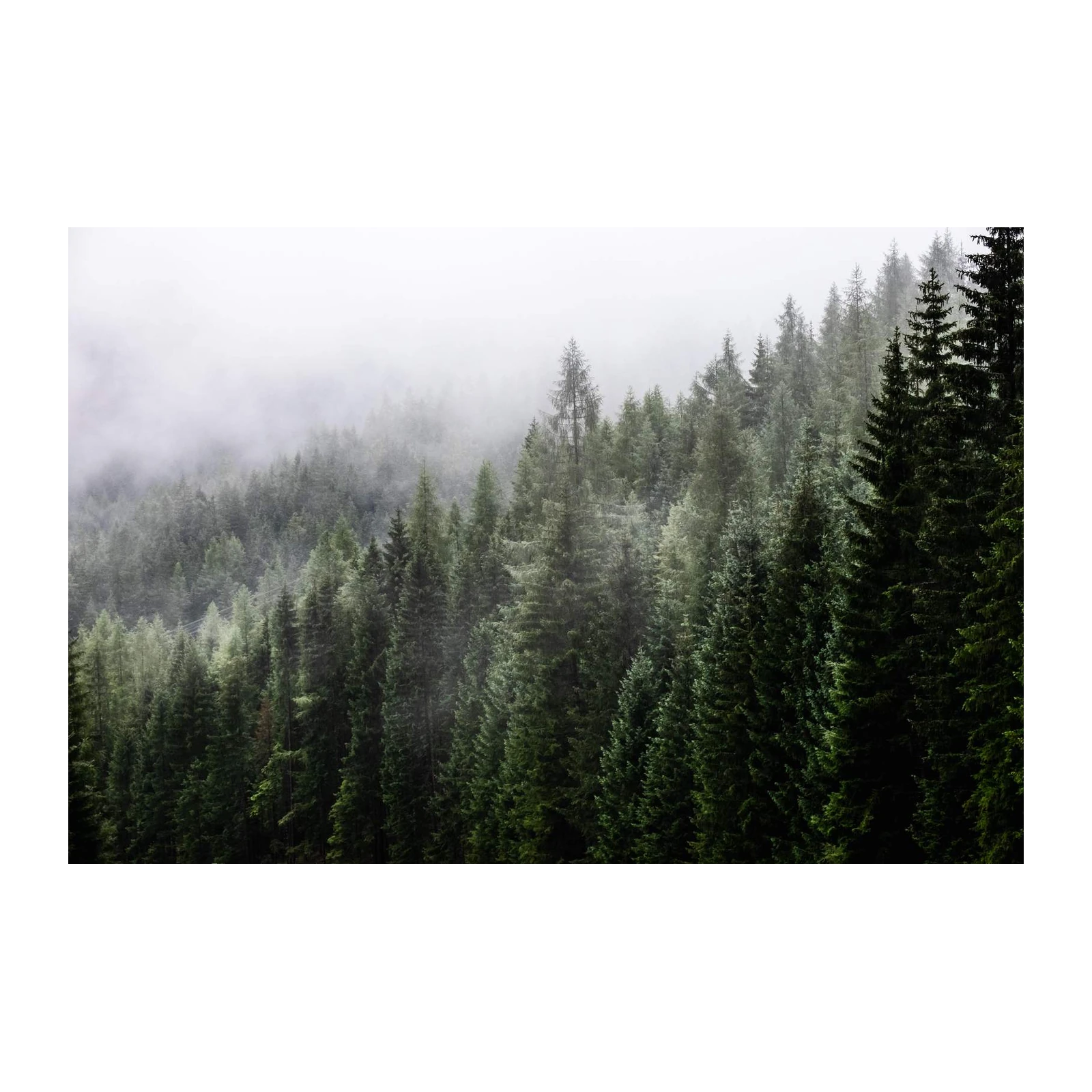Misty Mountain Forest Landscape Wall Art