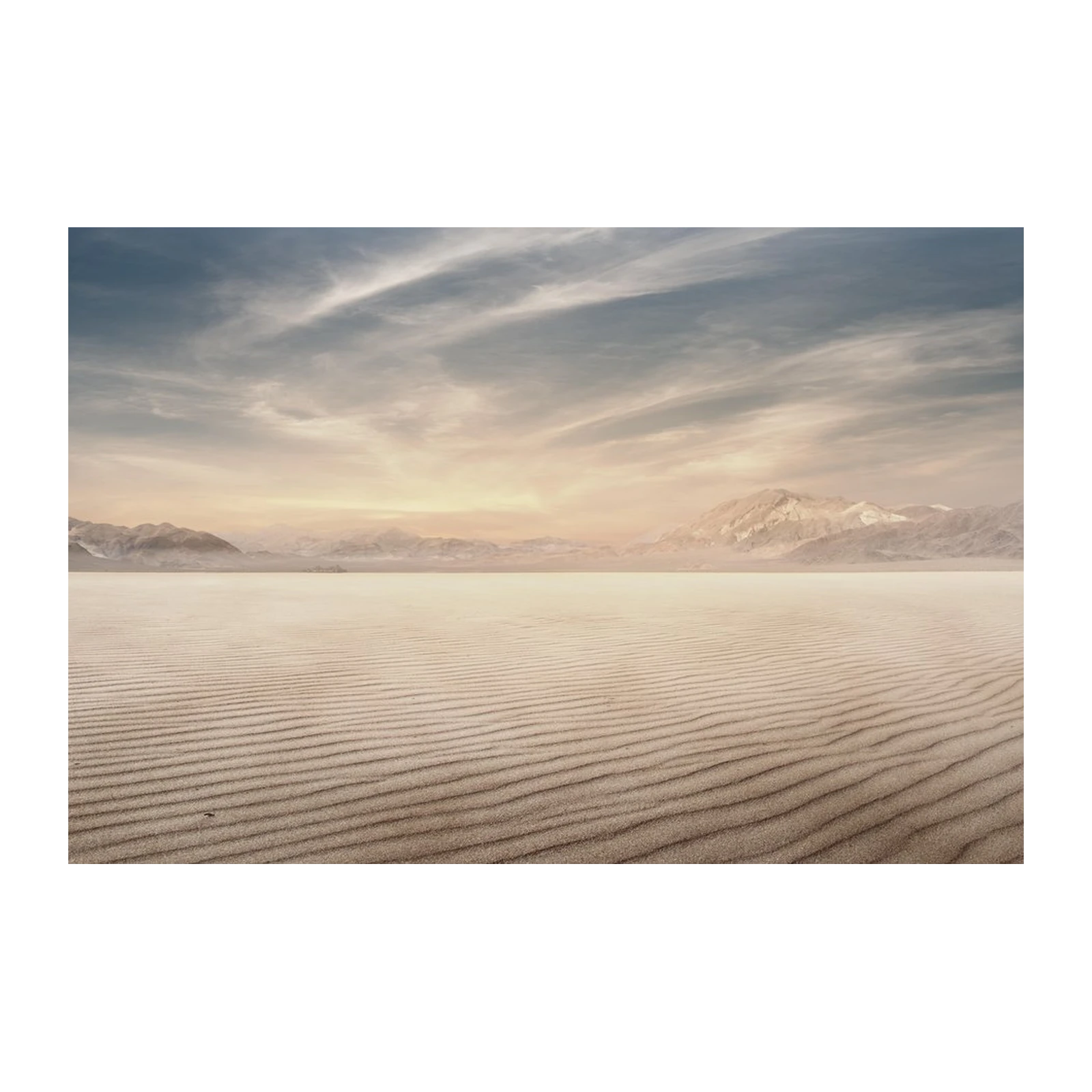 Serene Desert Landscape Wall Art