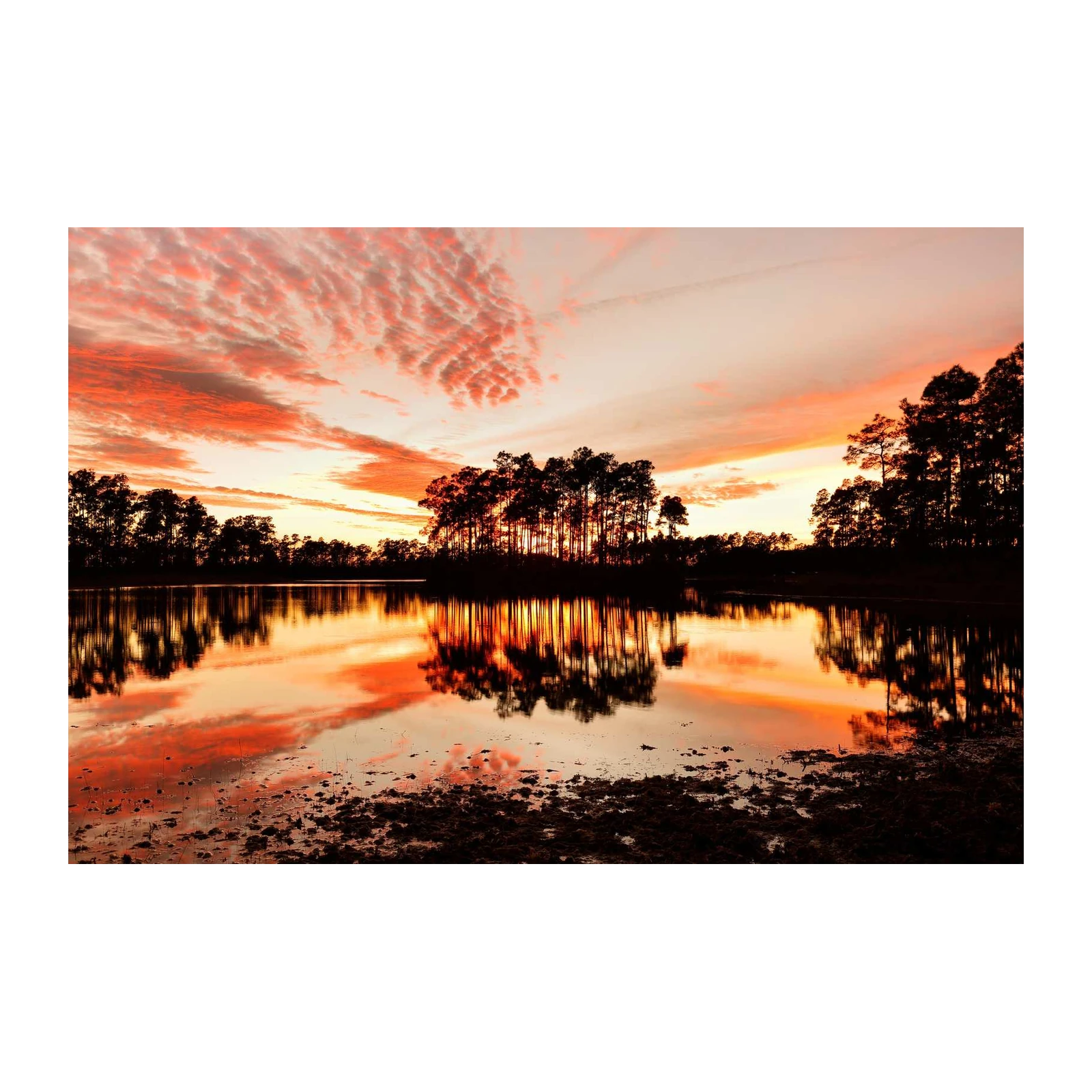 Serene Sunset Lake Trees Wall Art