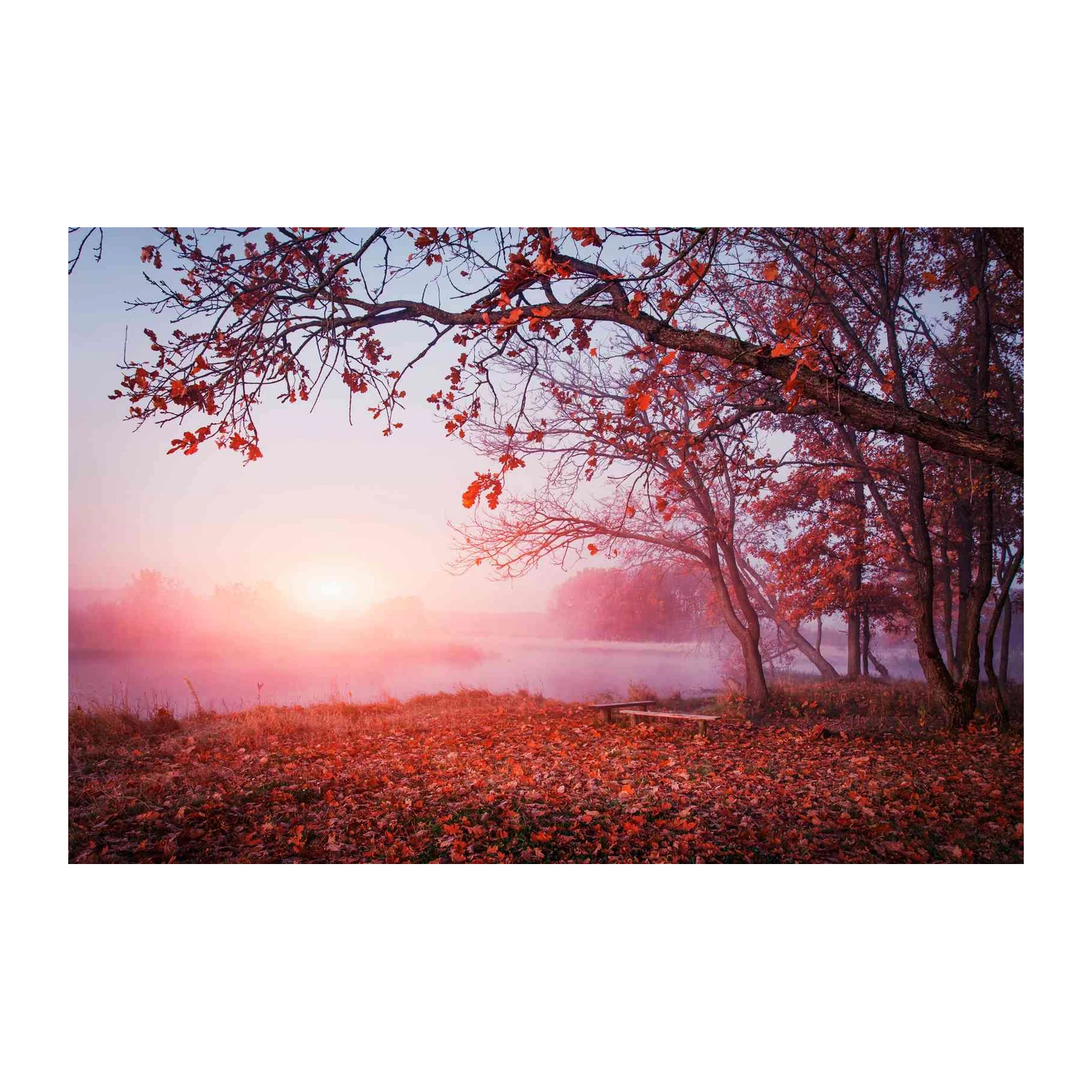 Misty Autumn Sunrise Serenity Wall Art