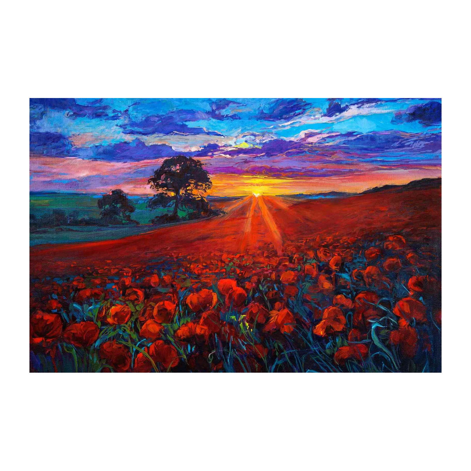 Vibrant Sunset Poppy Field Wall Art