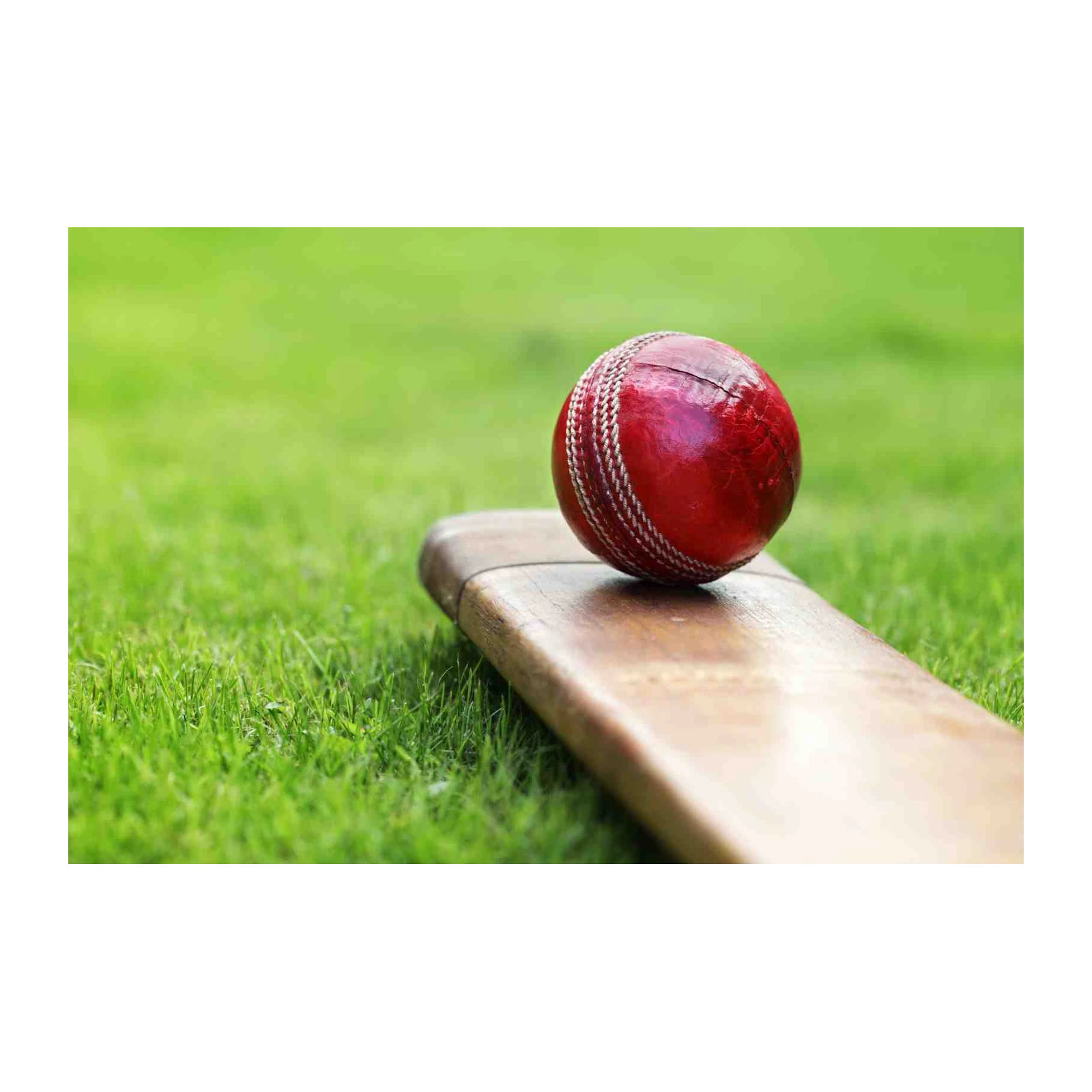 Vintage Cricket Ball & Bat Wall Art