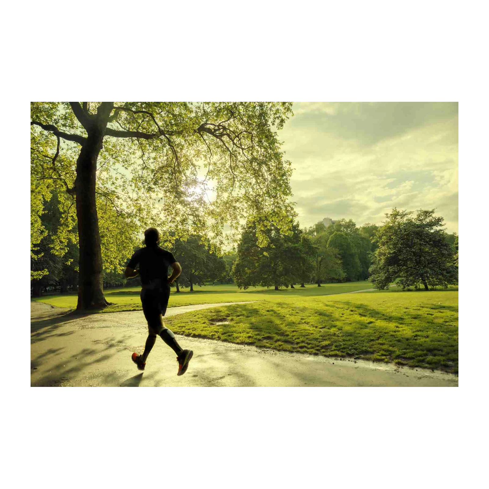 Morning Runner Serenity Nature Scene Wall Art