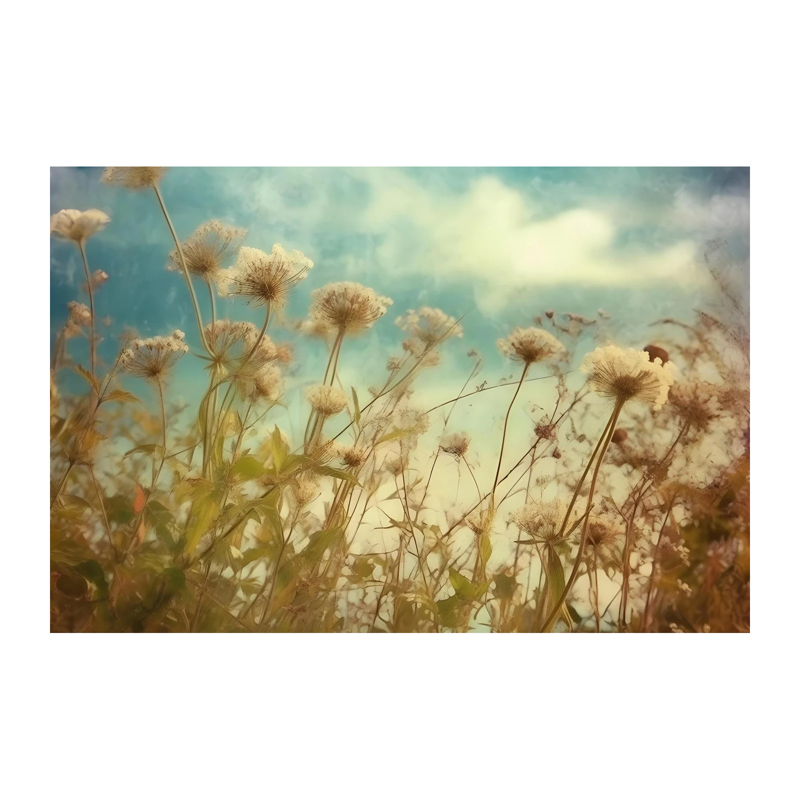 Whimsical Meadow Dream Floral Wall Art