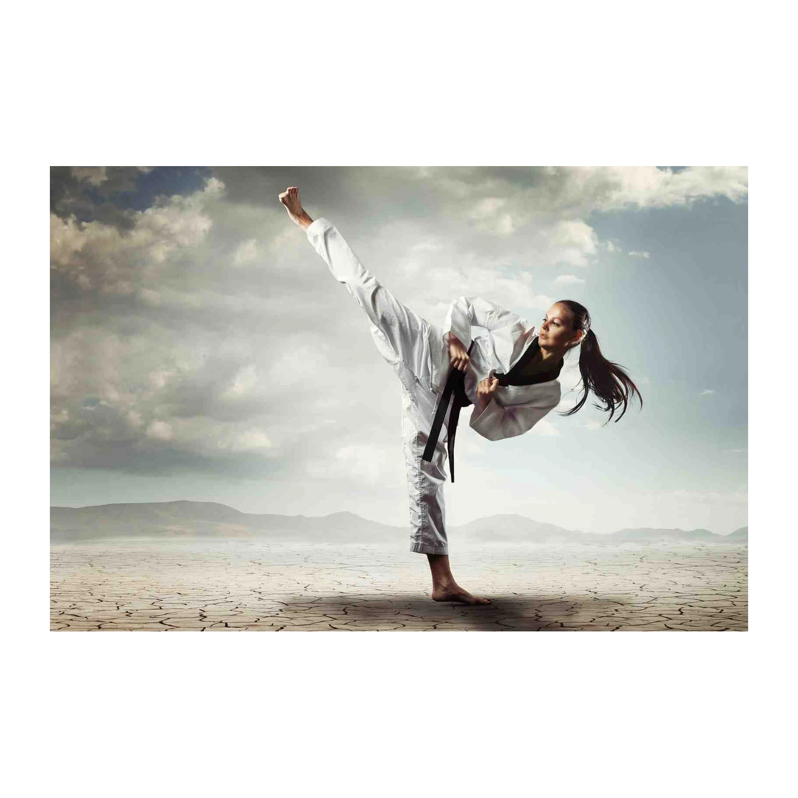 Martial Arts Power Kick Wall Art