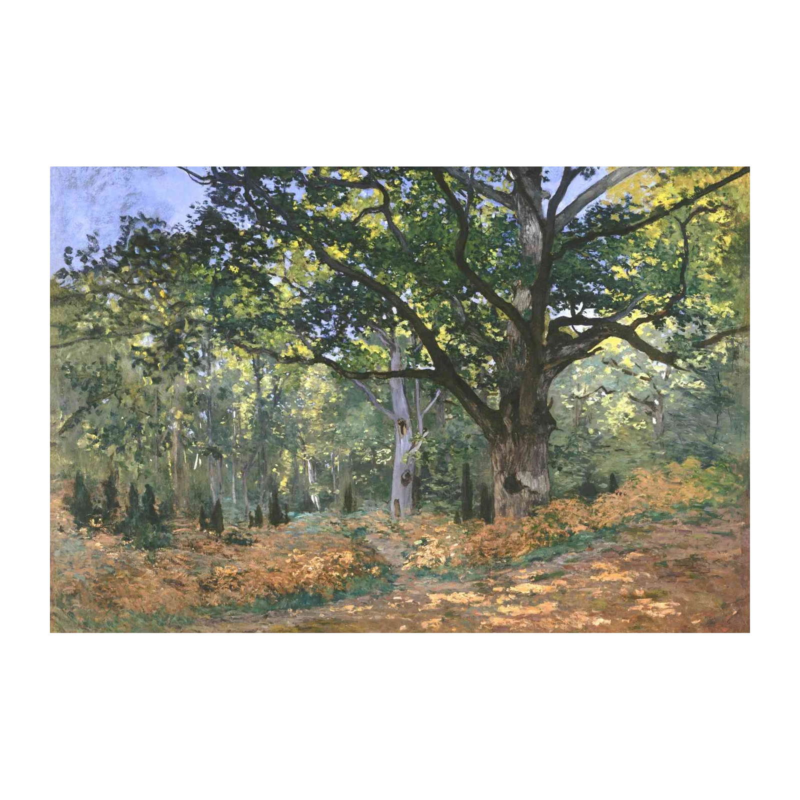 Majestic Oak Forest Impressionist Wall Art