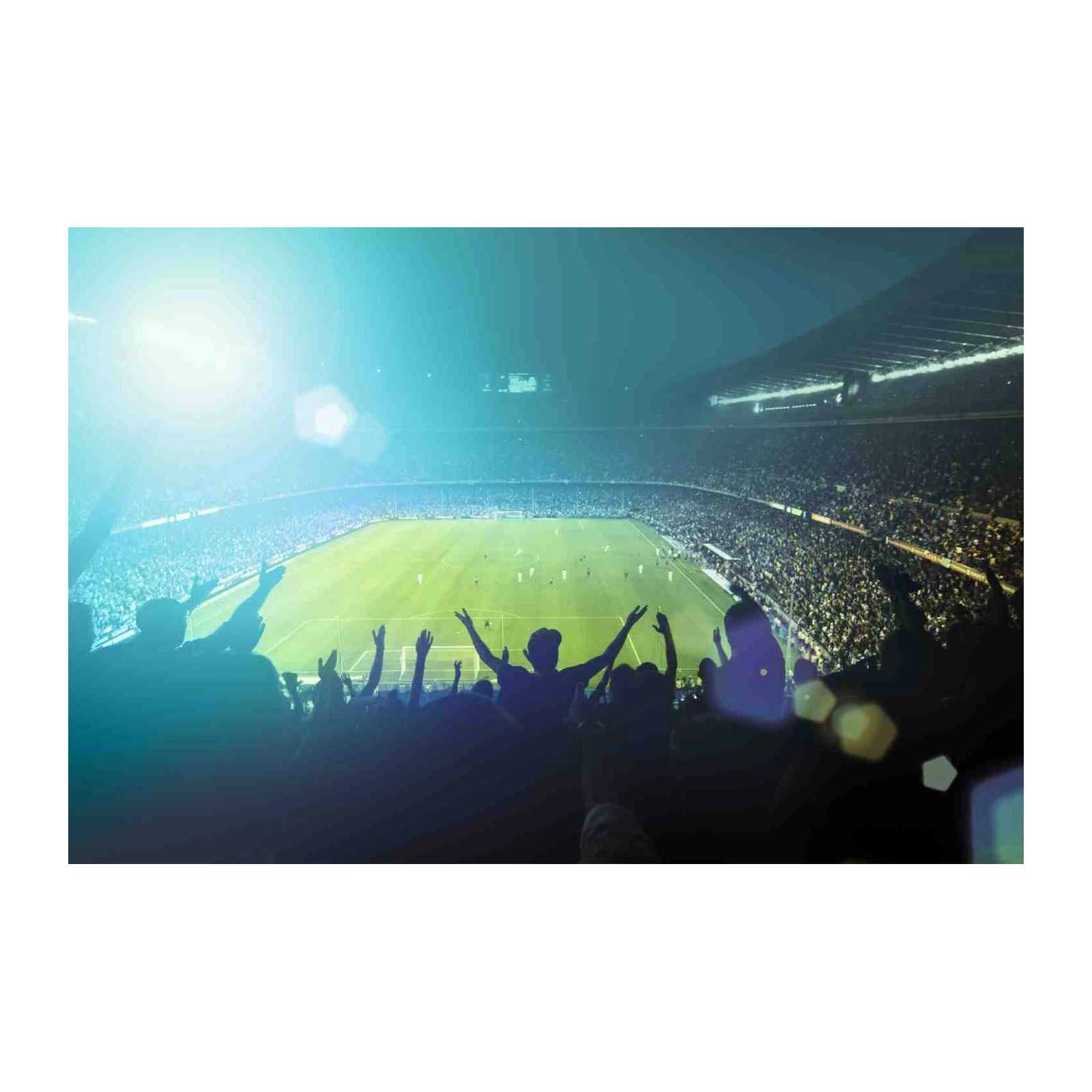 Electric Stadium Crowd Football Wall Art